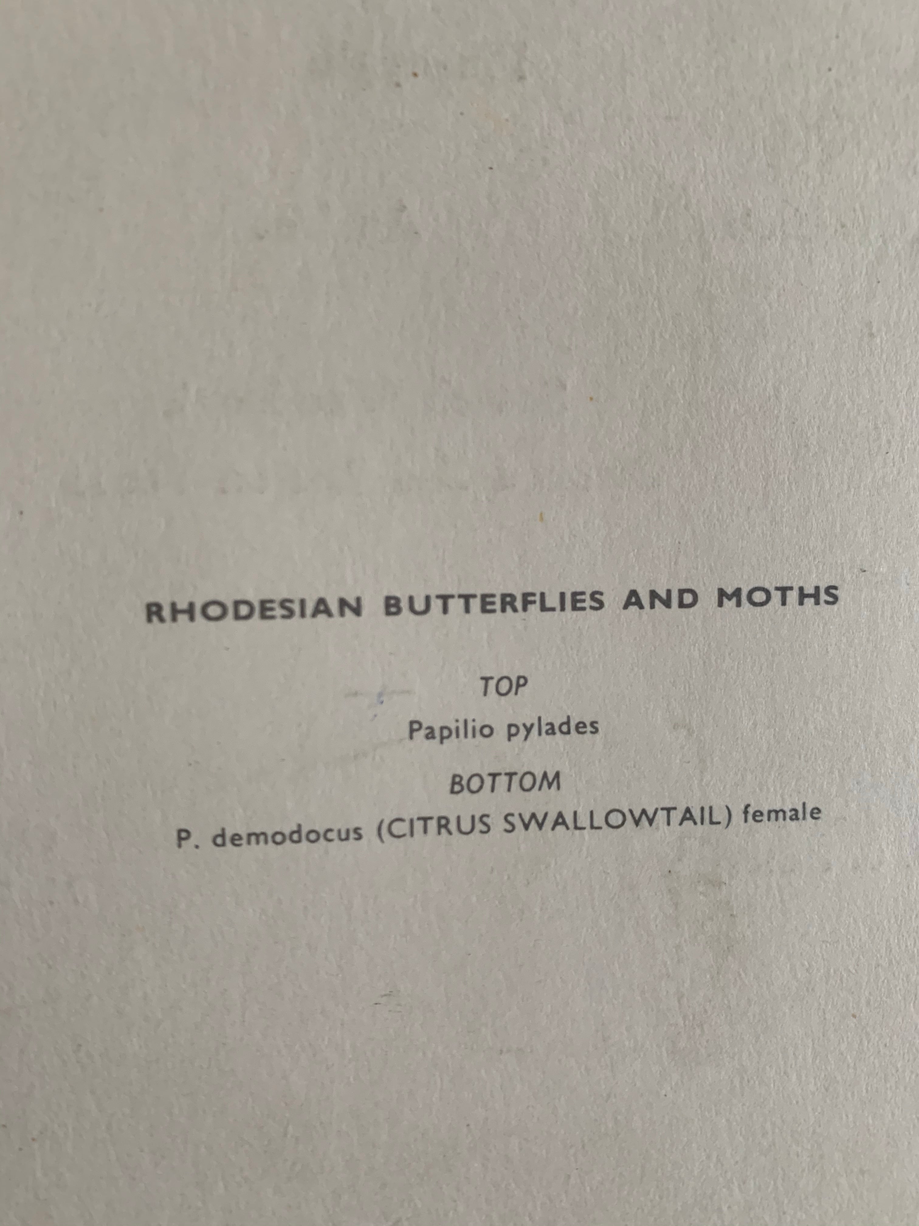 Original Union Castle Dinner Menu 1965
