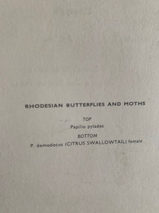 Original Union Castle Dinner Menu 1965