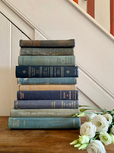 Set of 10 vintage books with blue covers
