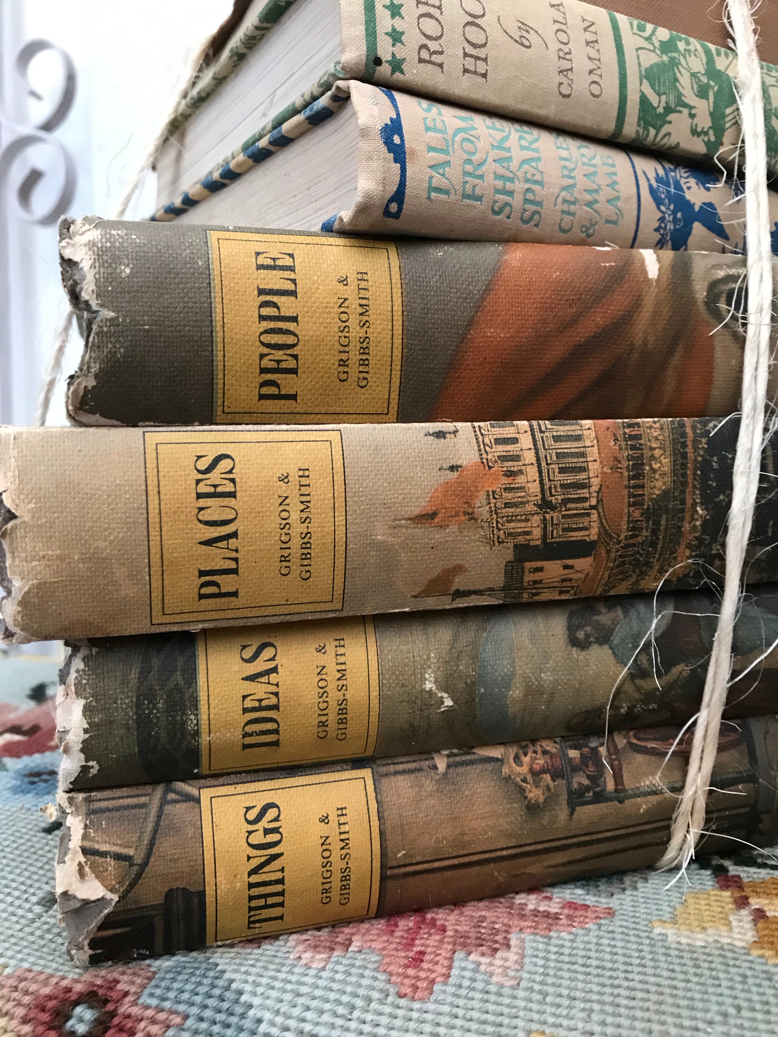 Large Beige Book Bundle