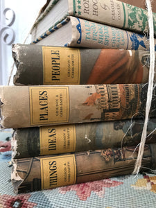 Large Beige Book Bundle