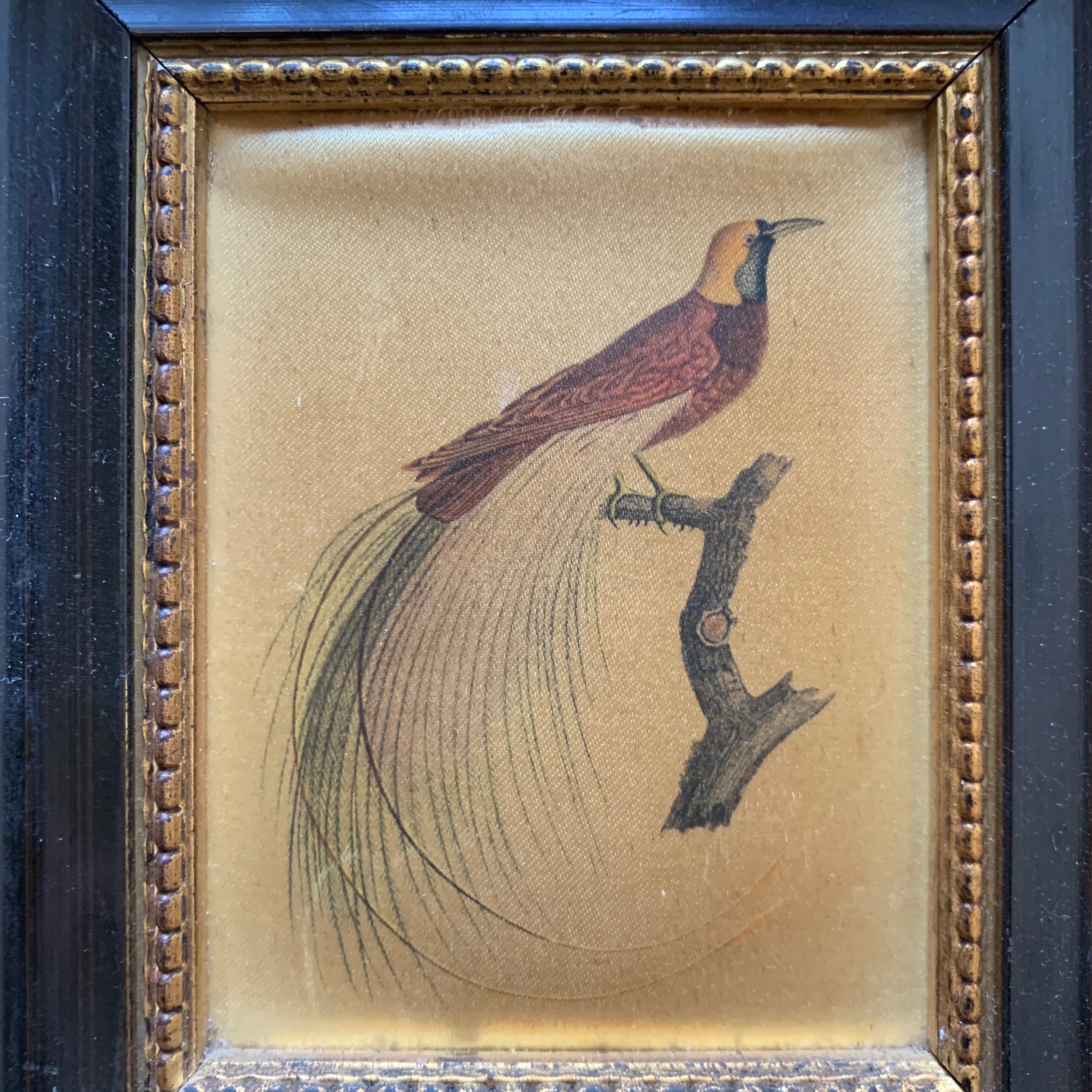 Pair of Teeny Antique Silk Paintings of Birds