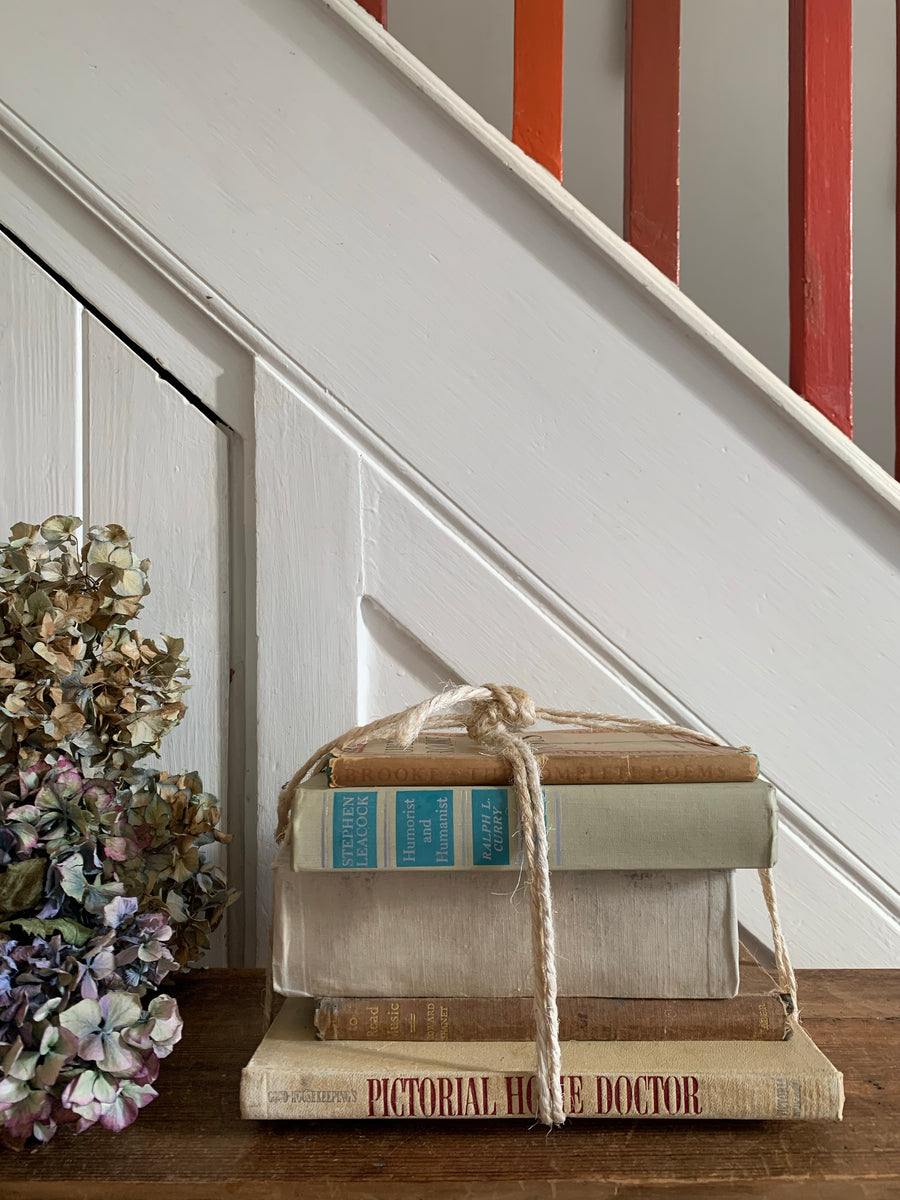 Beige Book Bundle – Reclectic