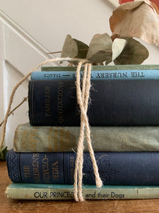 Blue Book Bundle 2