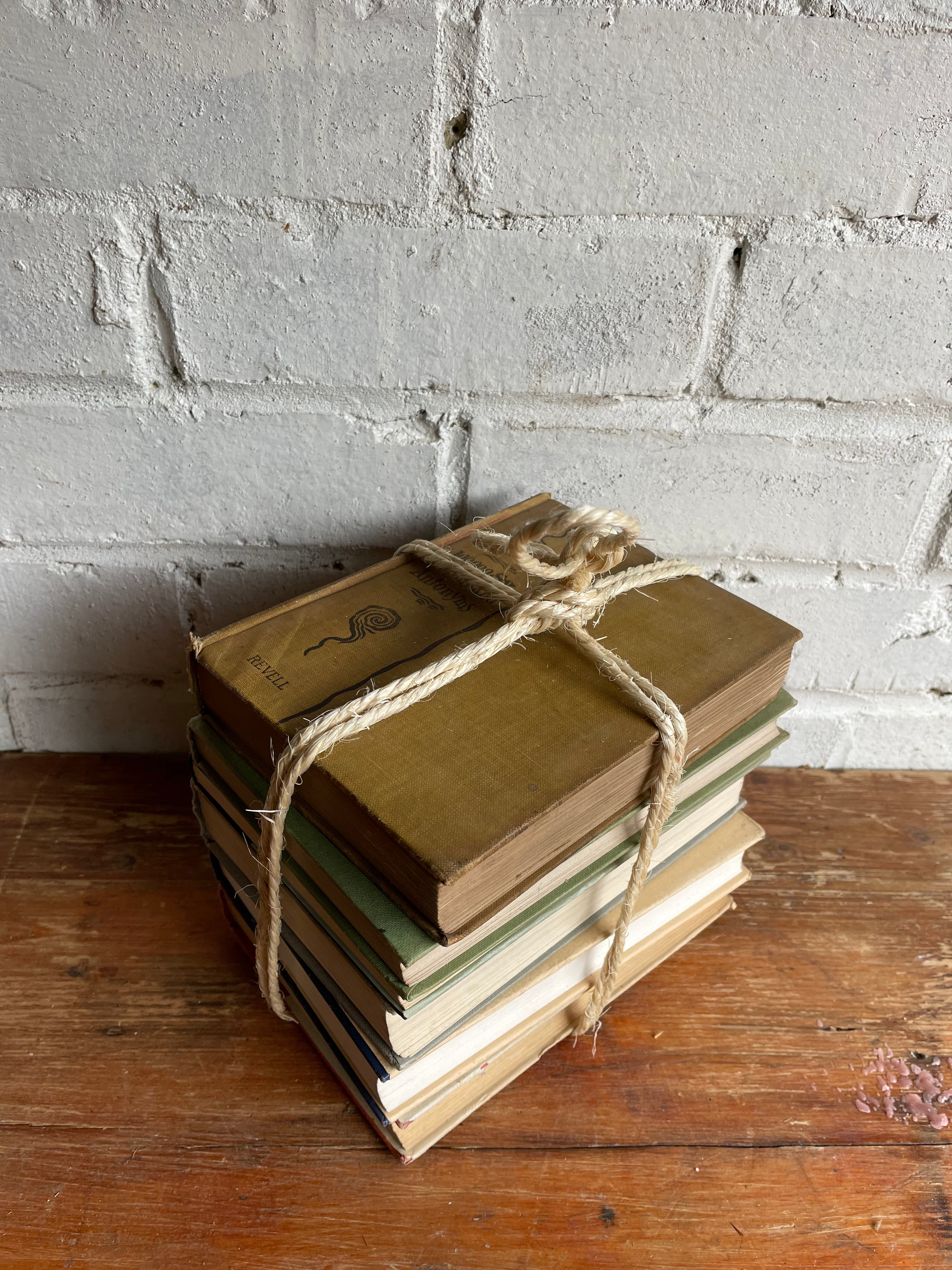 Beige Book Bundle