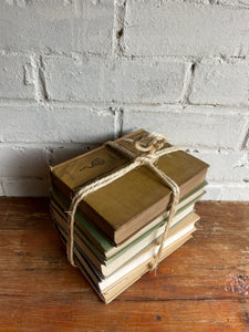 Beige Book Bundle