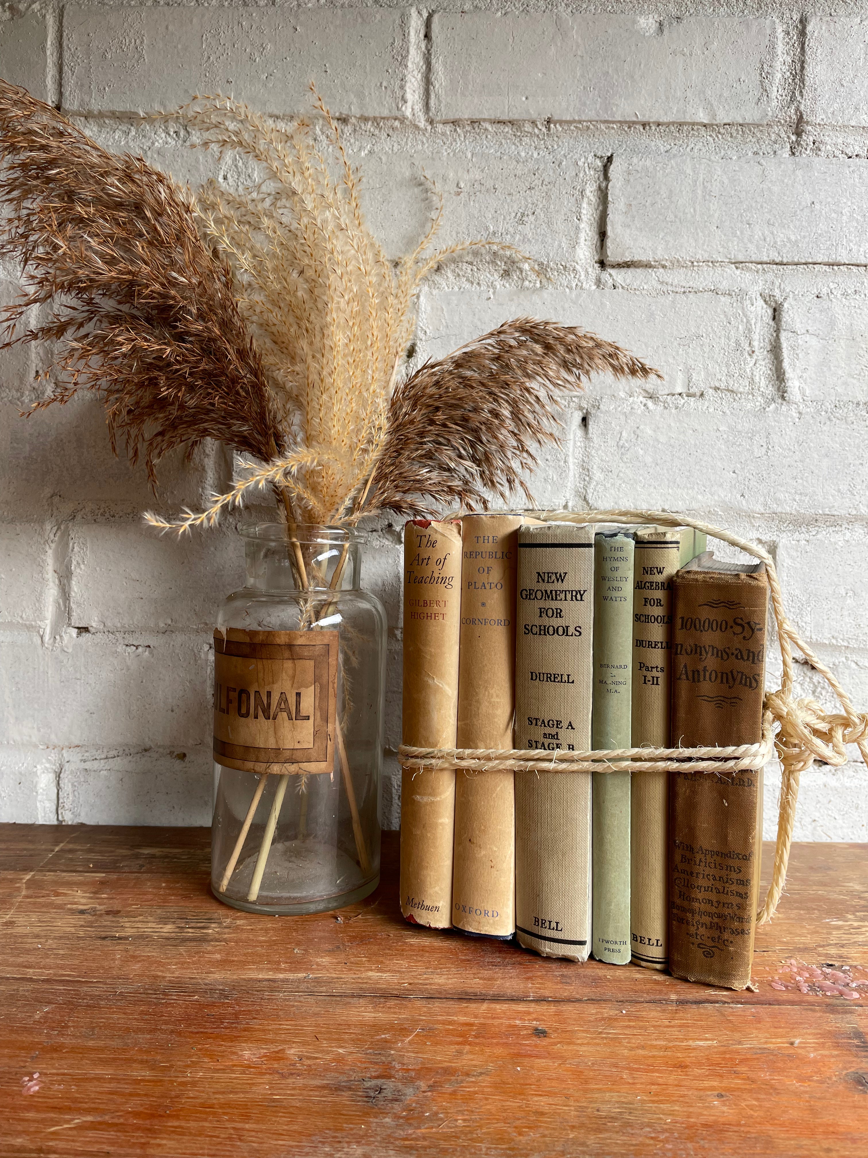 Beige Book Bundle