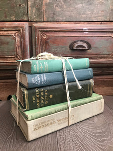 Green Book Bundle