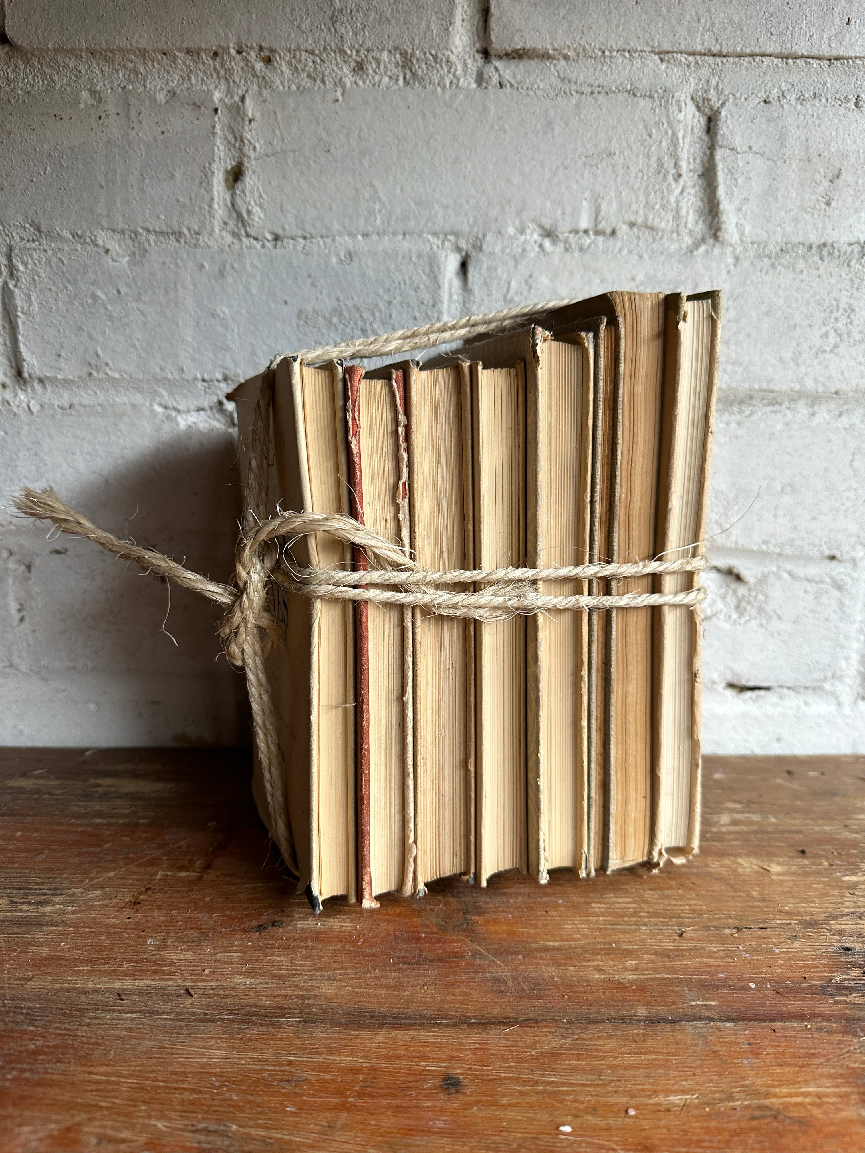 Beige Book Bundle