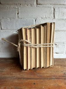 Beige Book Bundle