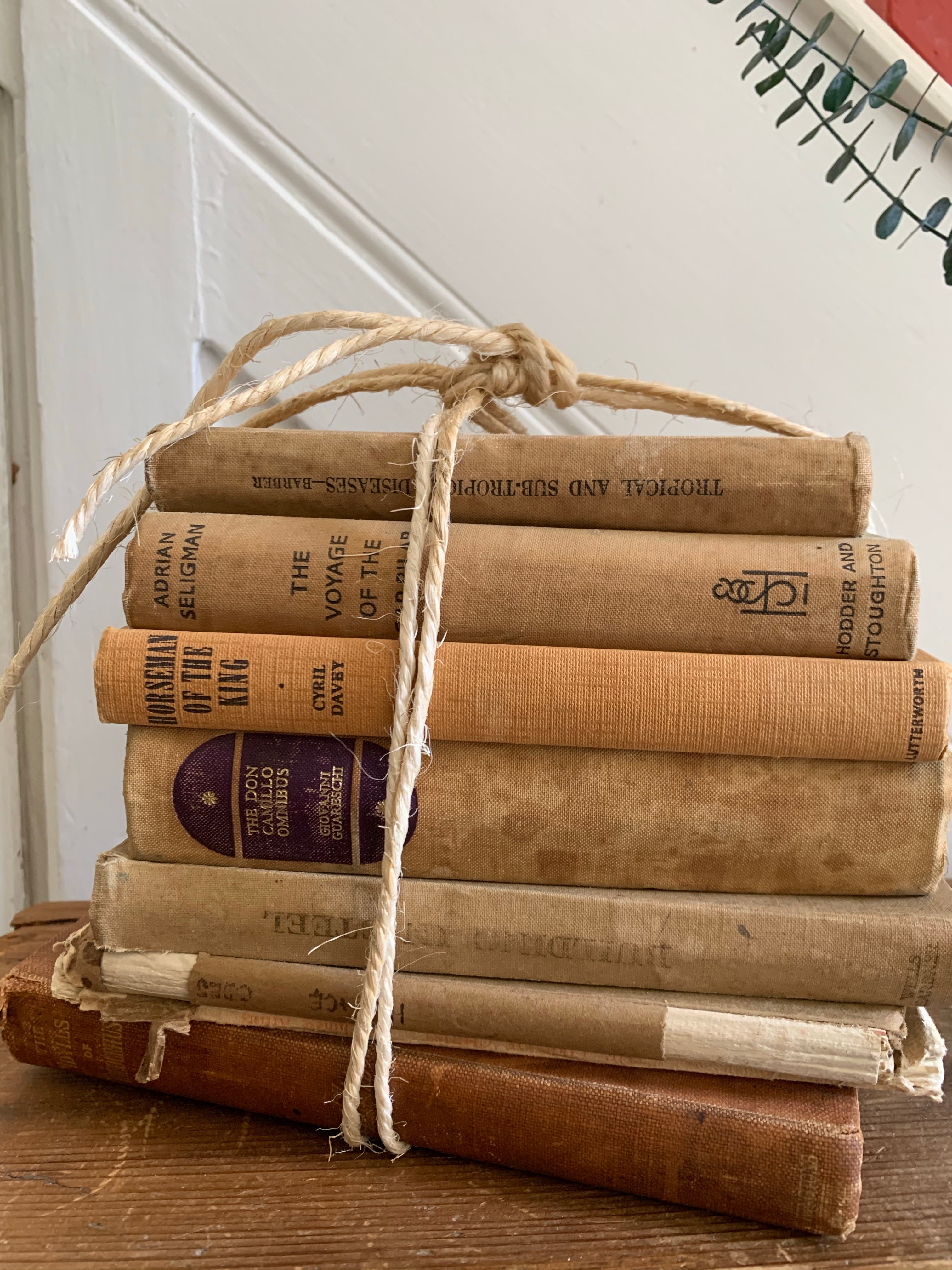 Beige Book Bundle