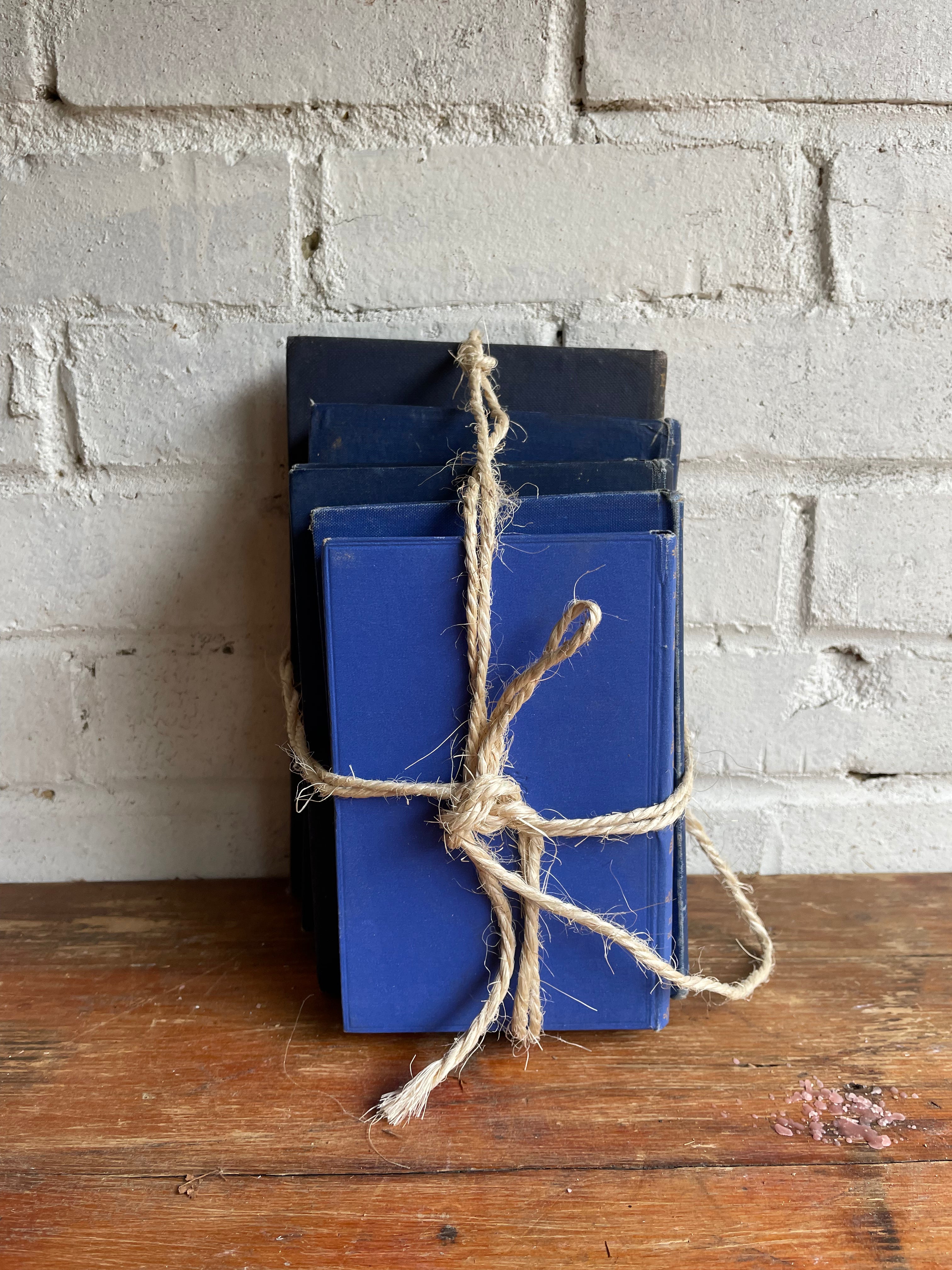 Blue Book Bundle