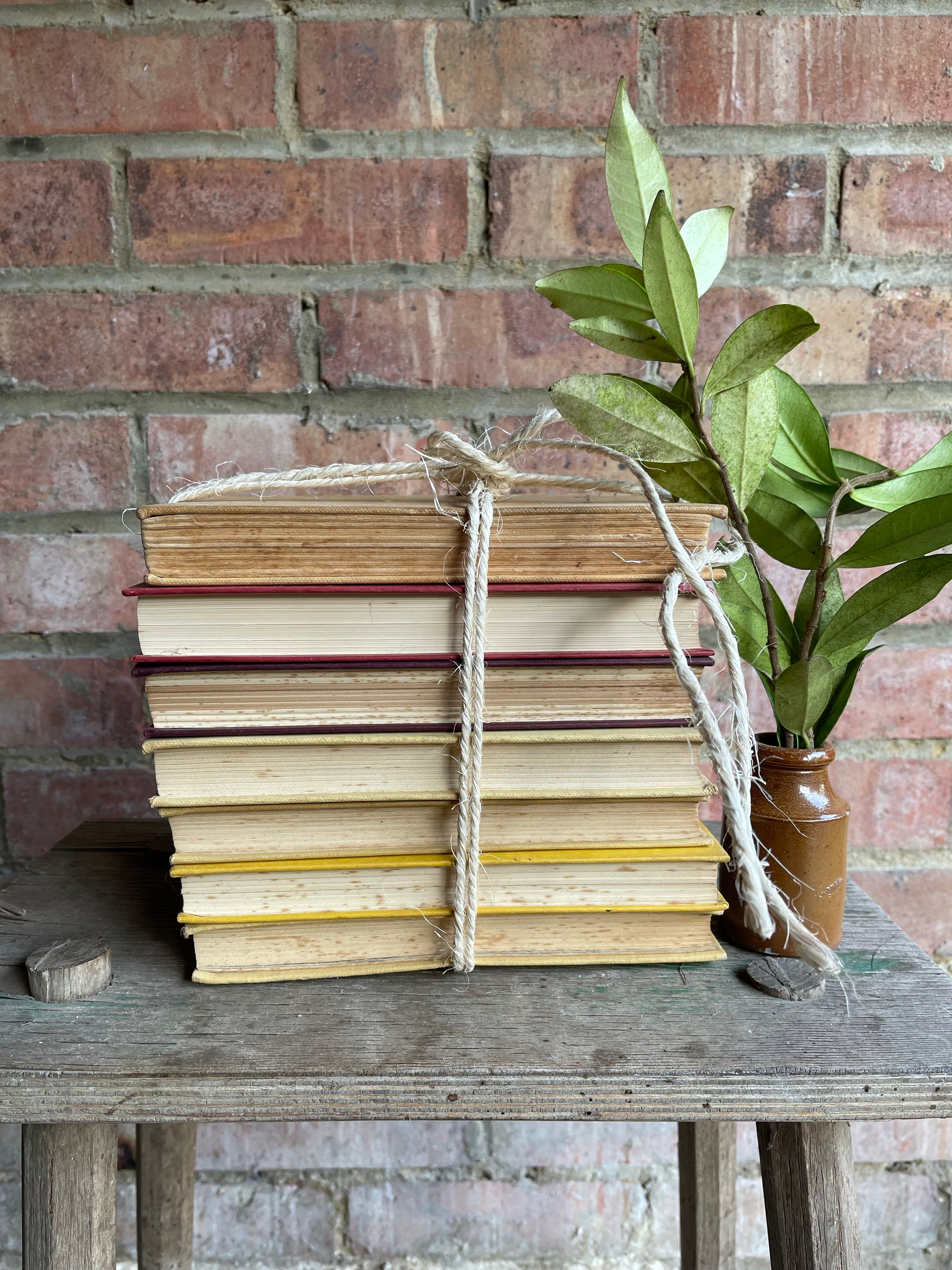 Vintage Neutral/Yellow Book Bundle