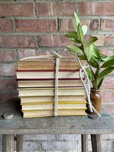 Vintage Neutral/Yellow Book Bundle