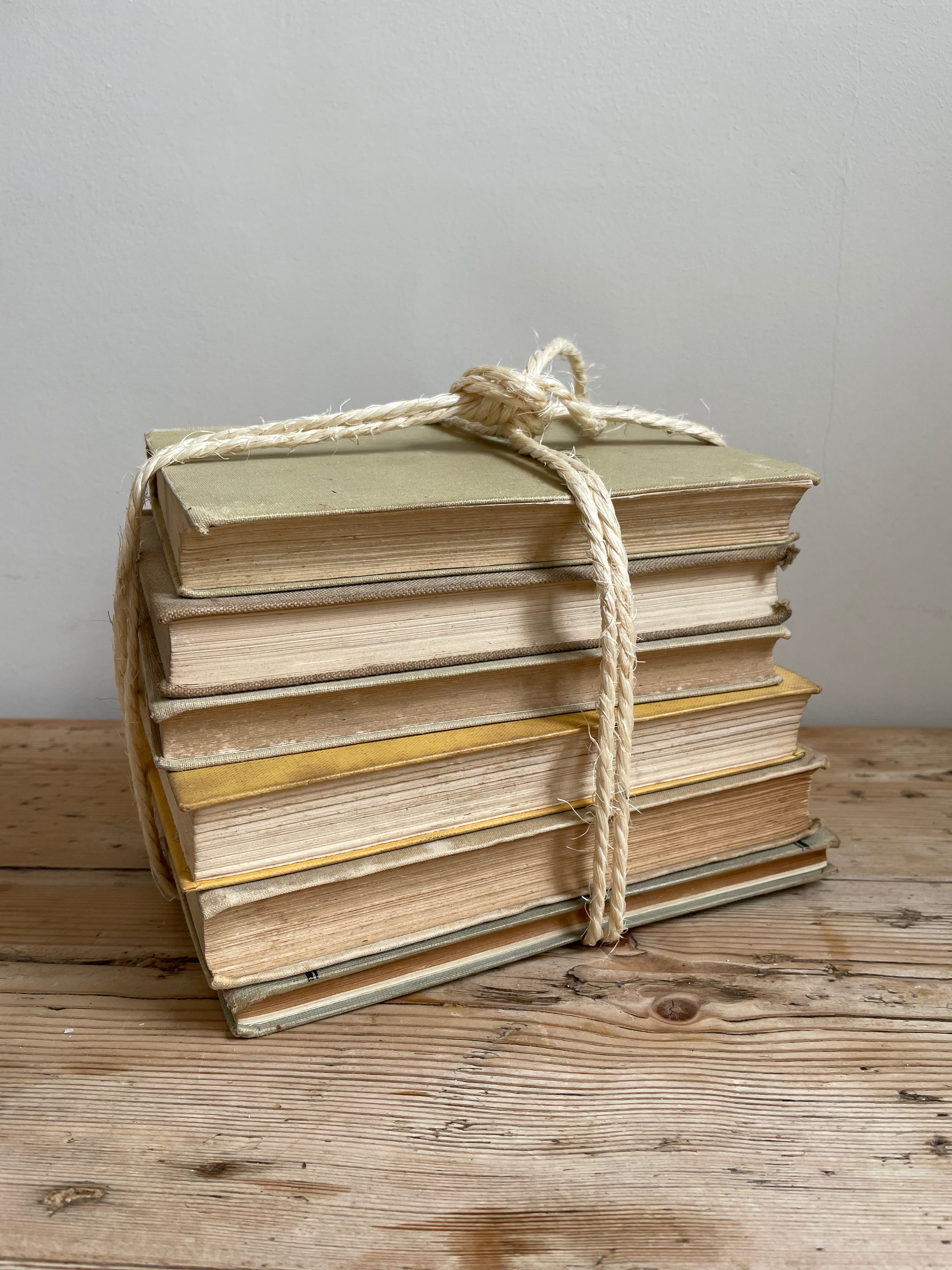Beige Book Bundle
