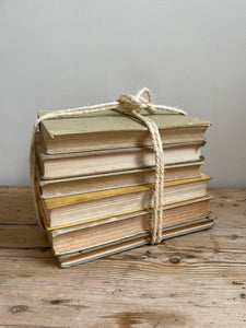 Beige Book Bundle