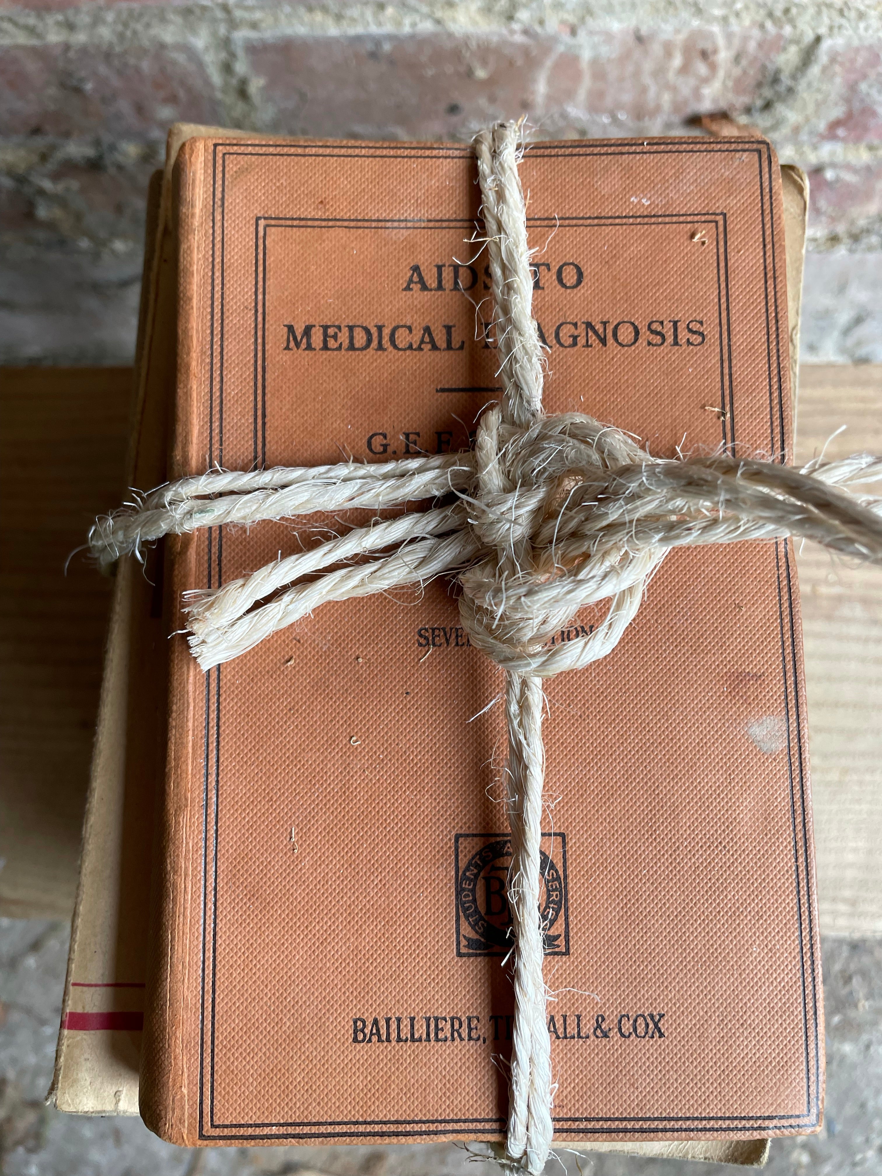 Neutral Hues Book Bundle with orange detail