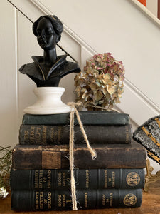 Black Lacquered Bust on Alabaster Base