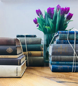 Beige Book Bundle