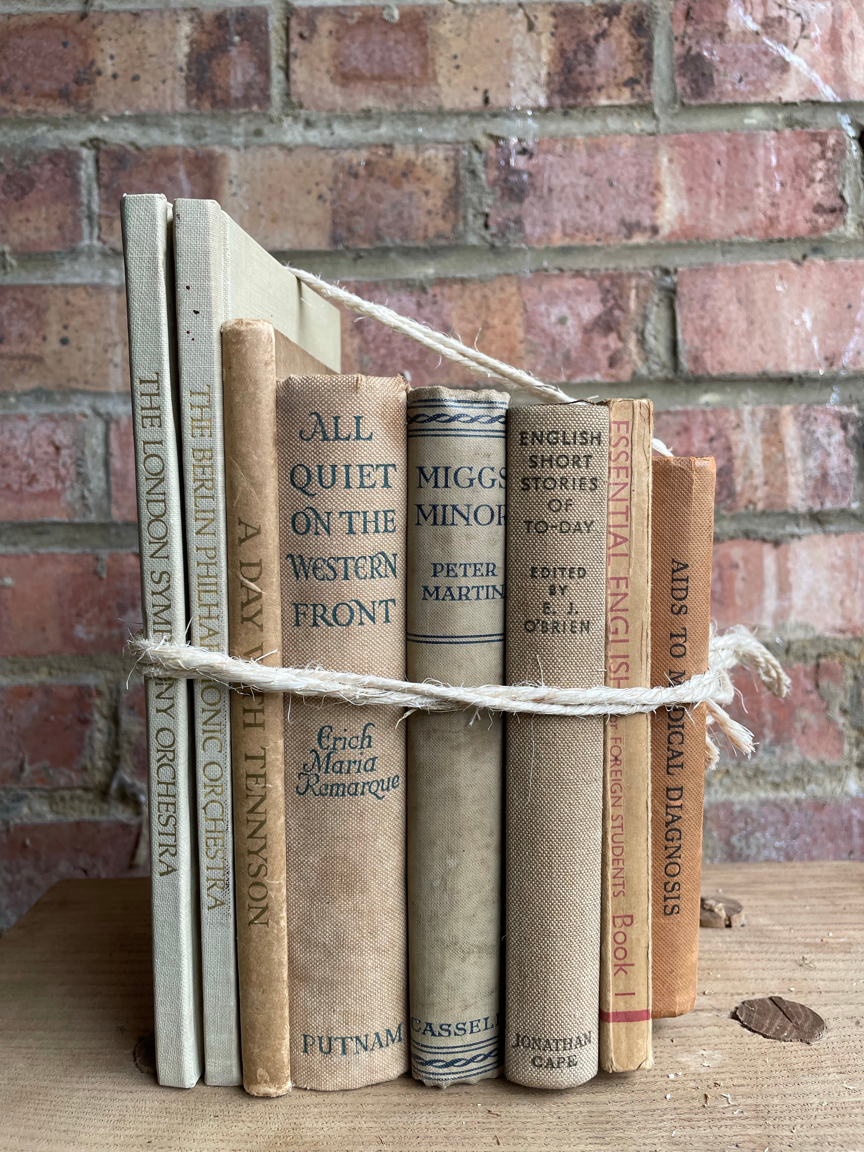 Neutral Hues Book Bundle with orange detail
