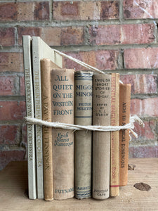 Neutral Hues Book Bundle with orange detail