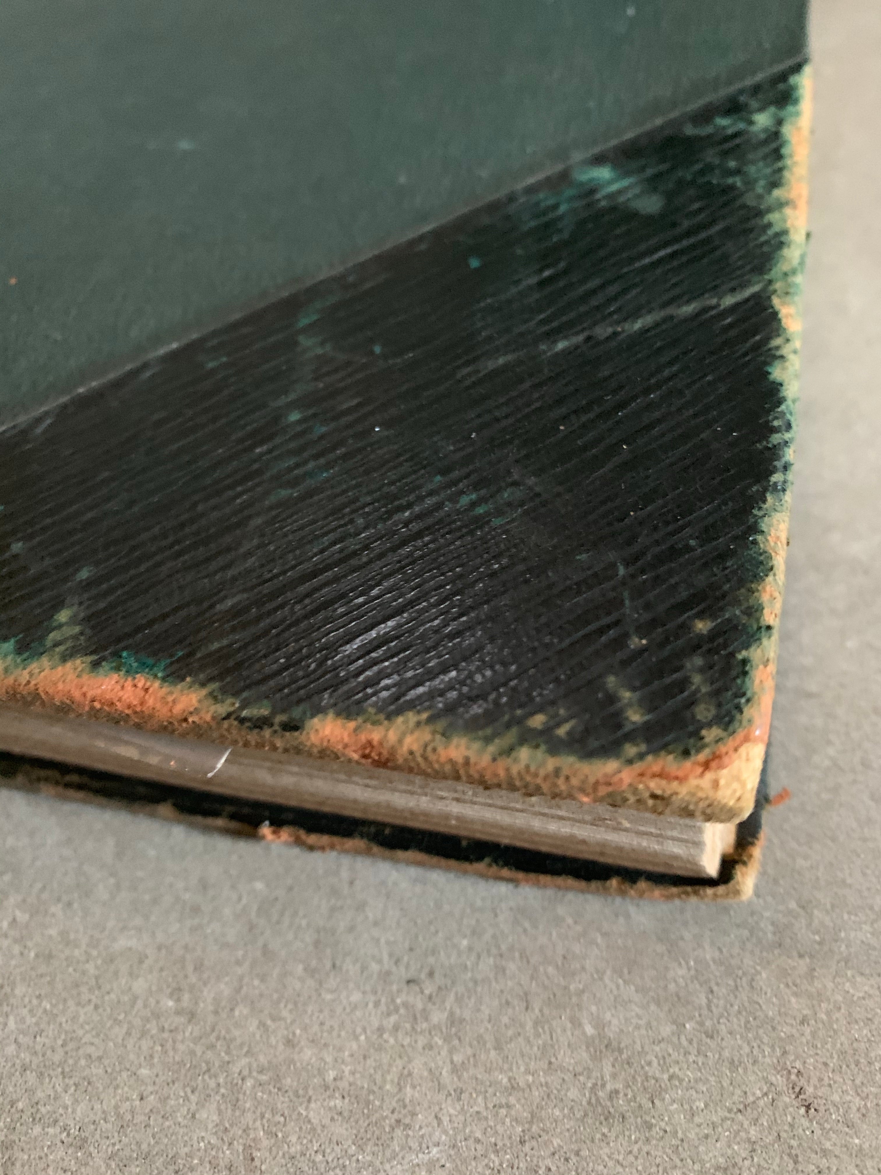 Large 1900s “Coffee Table” Book with Leather Spine