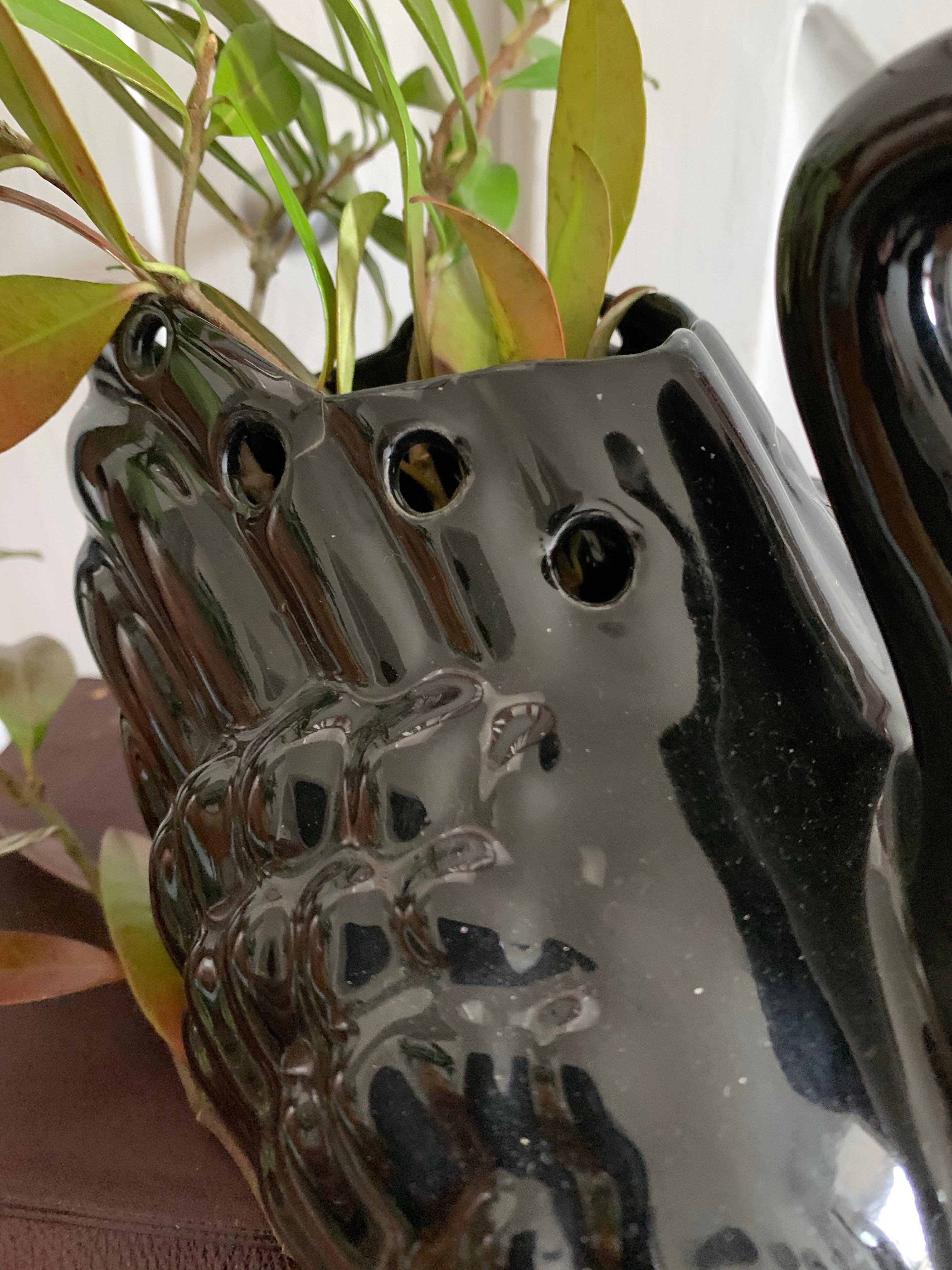 Black Ceramic Swan