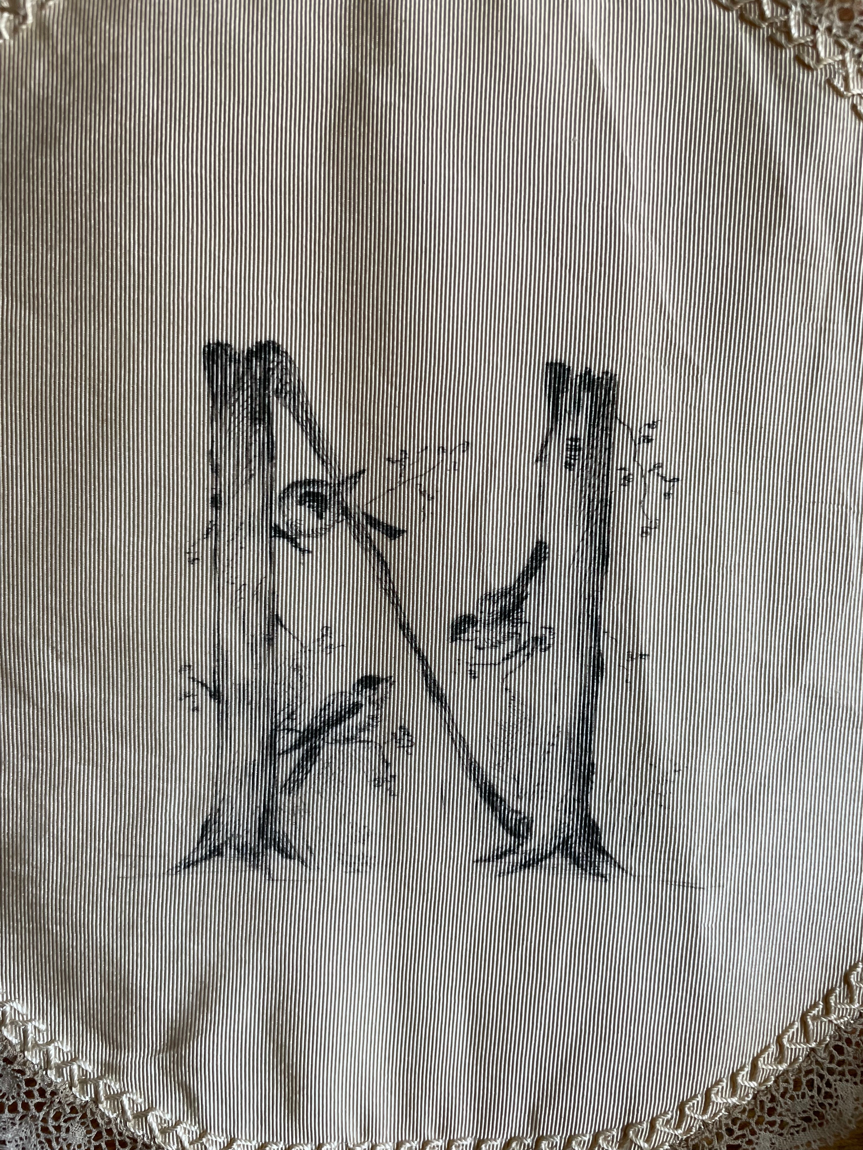 Victorian Silk & Lace Doily with Ink Lettered “N”