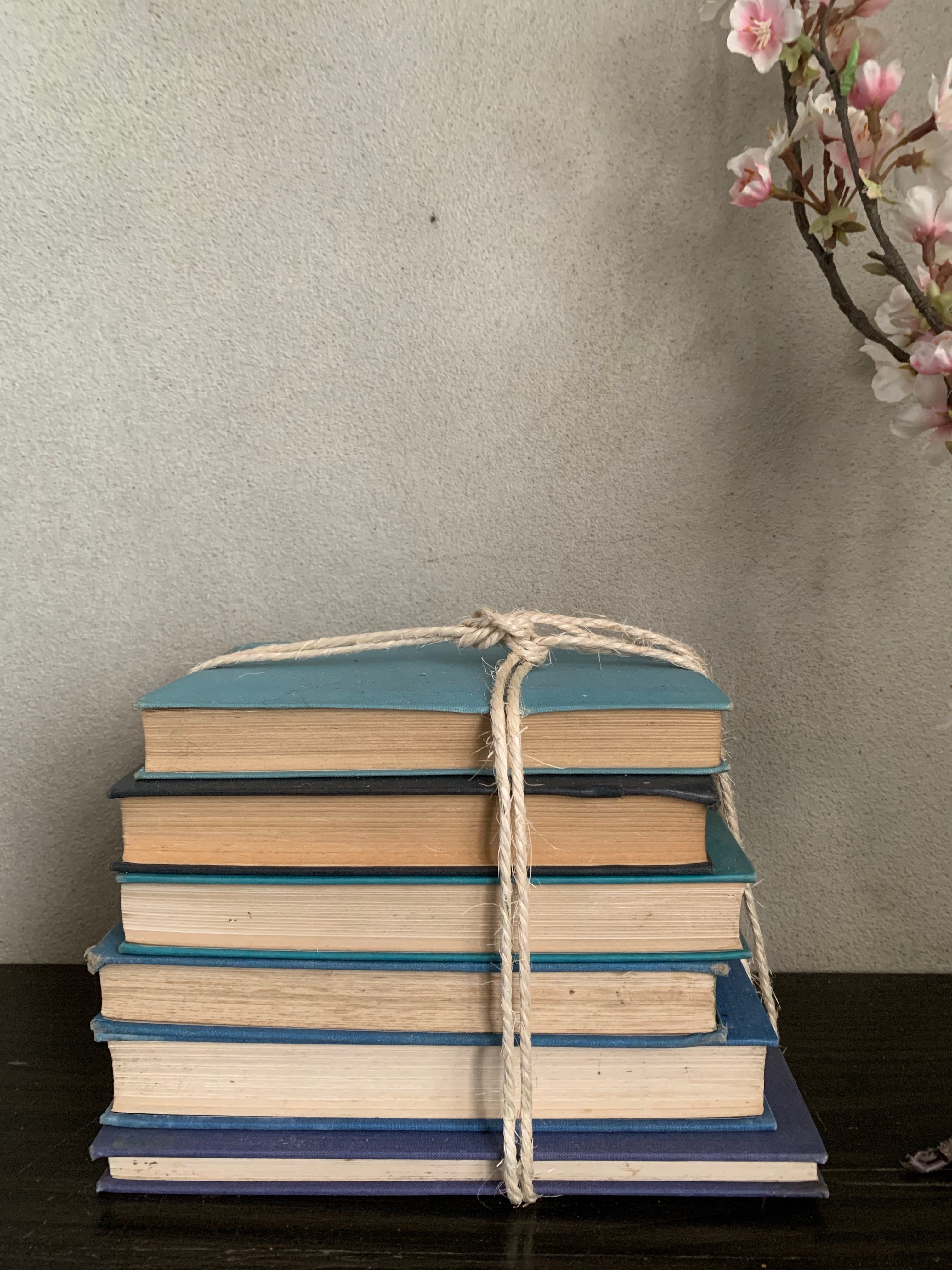 Blue Hues Book Bundle