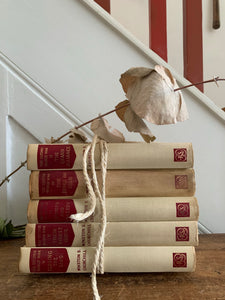 Cream & Red Book Bundle