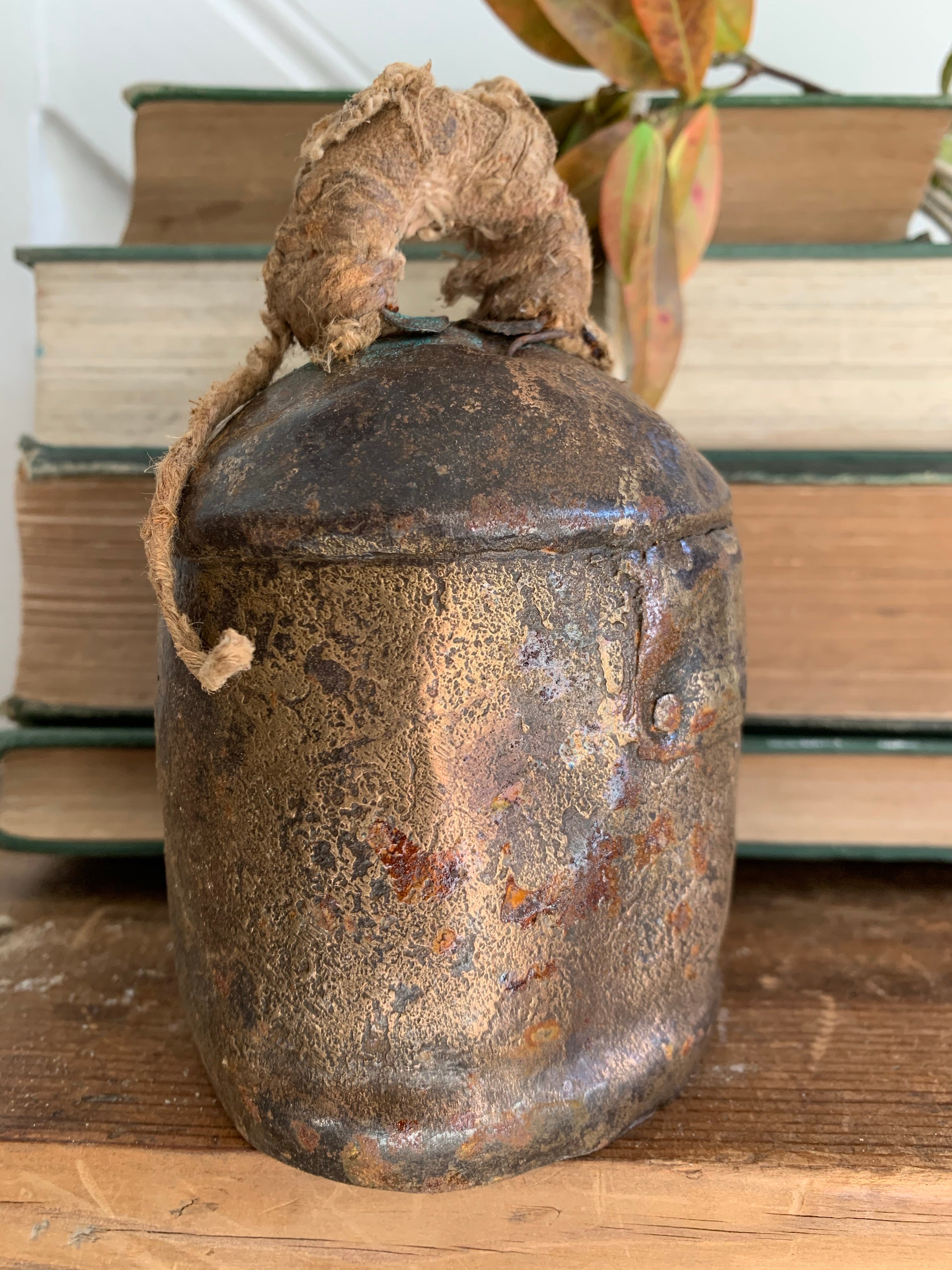 Old Iron Cow Bell 1