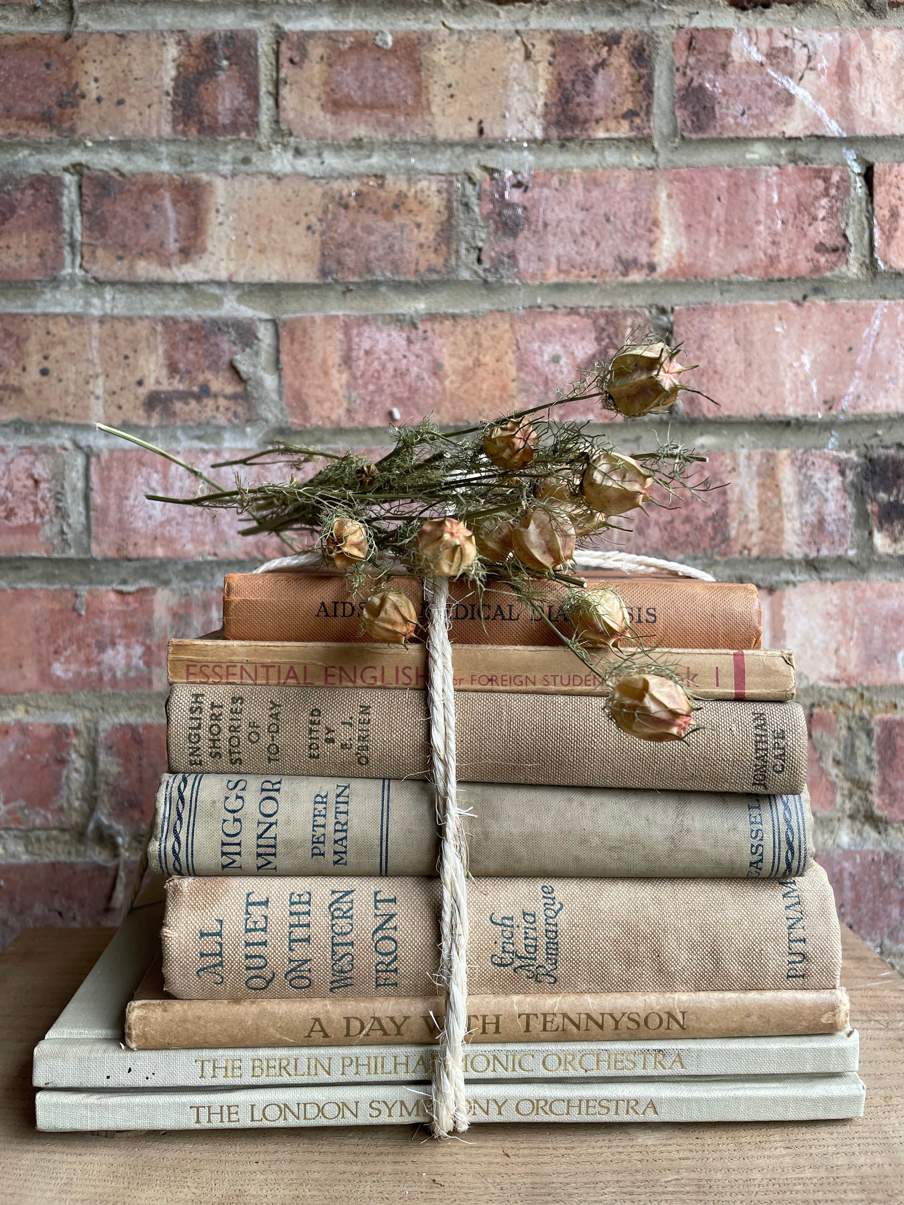Neutral Hues Book Bundle with orange detail