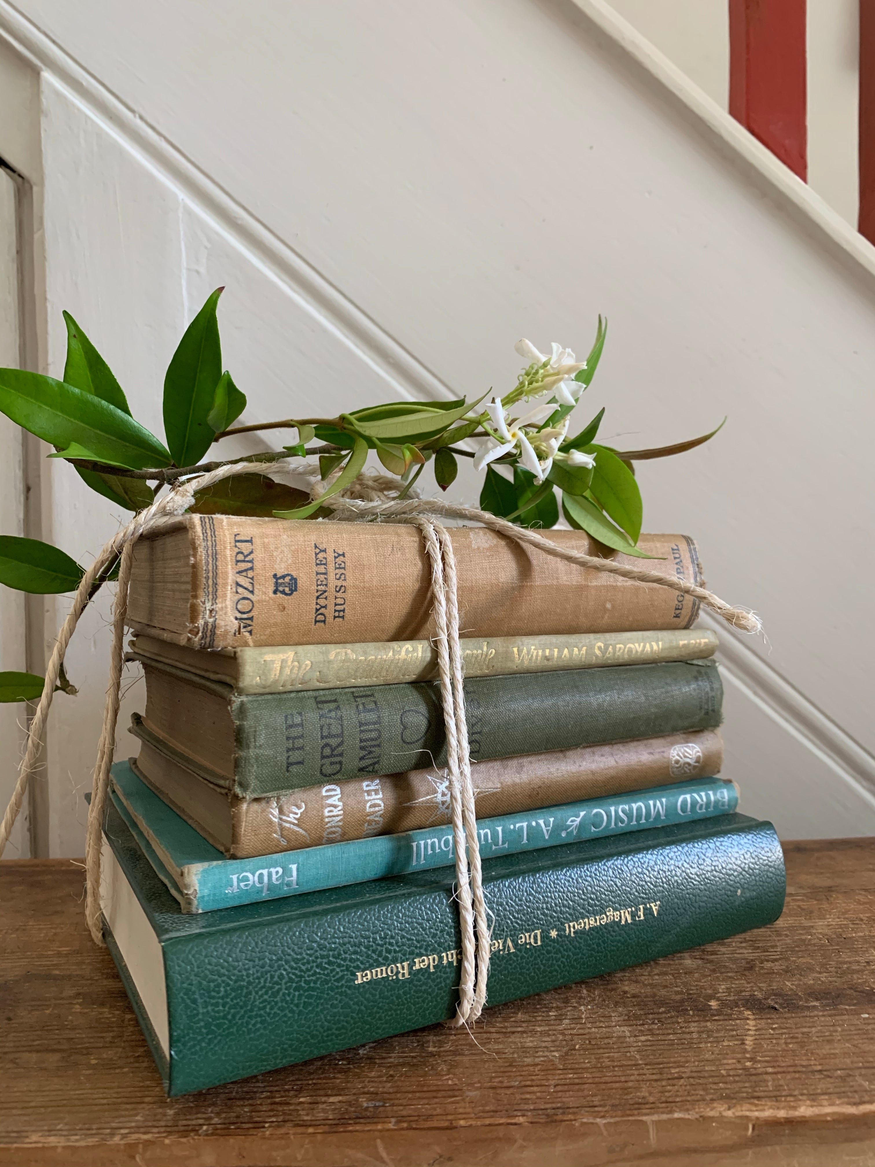 Green Book Bundle