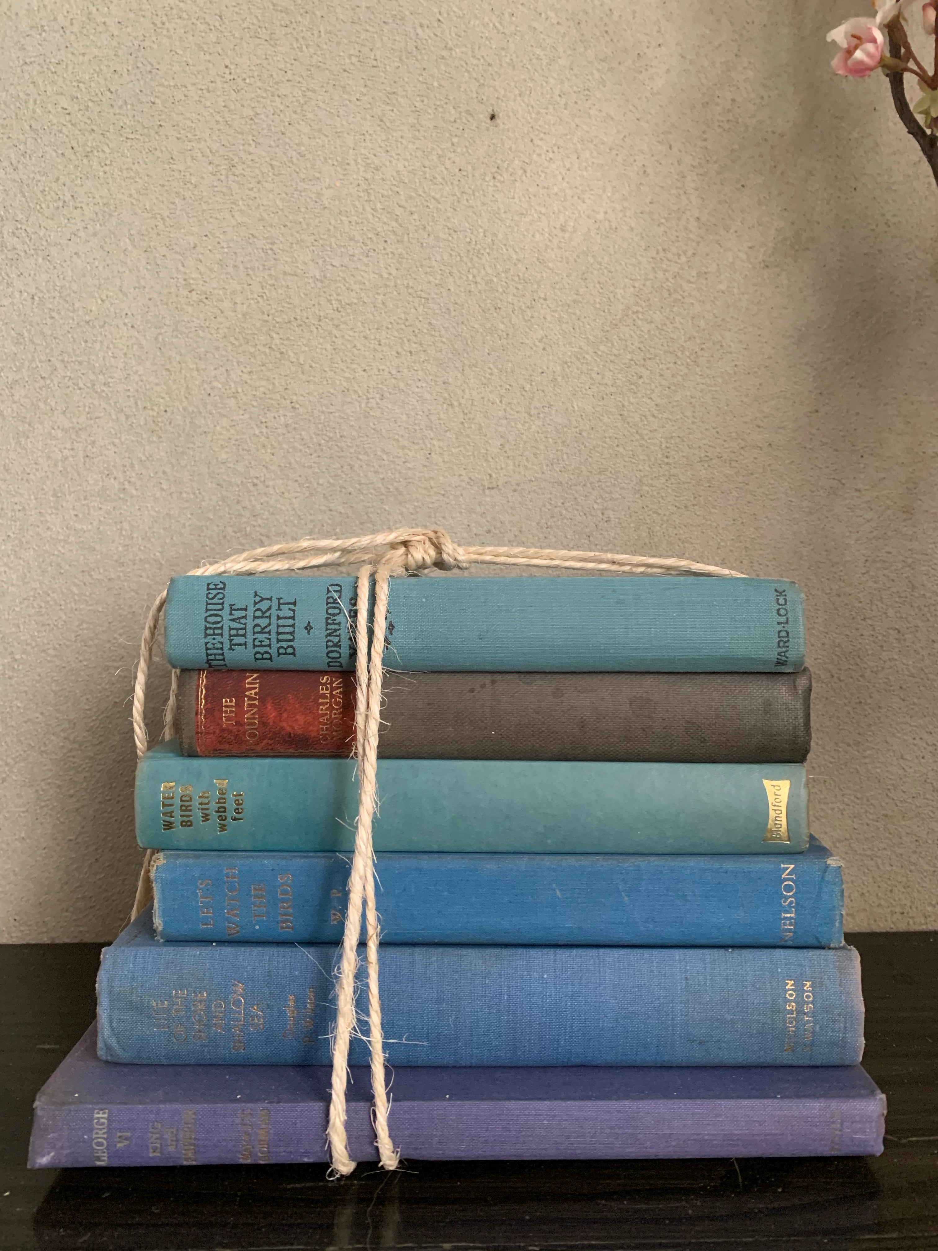 Blue Hues Book Bundle