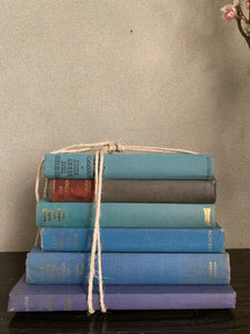 Blue Hues Book Bundle