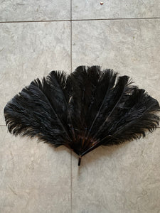 Large 19th Century Ostrich Feather Fan