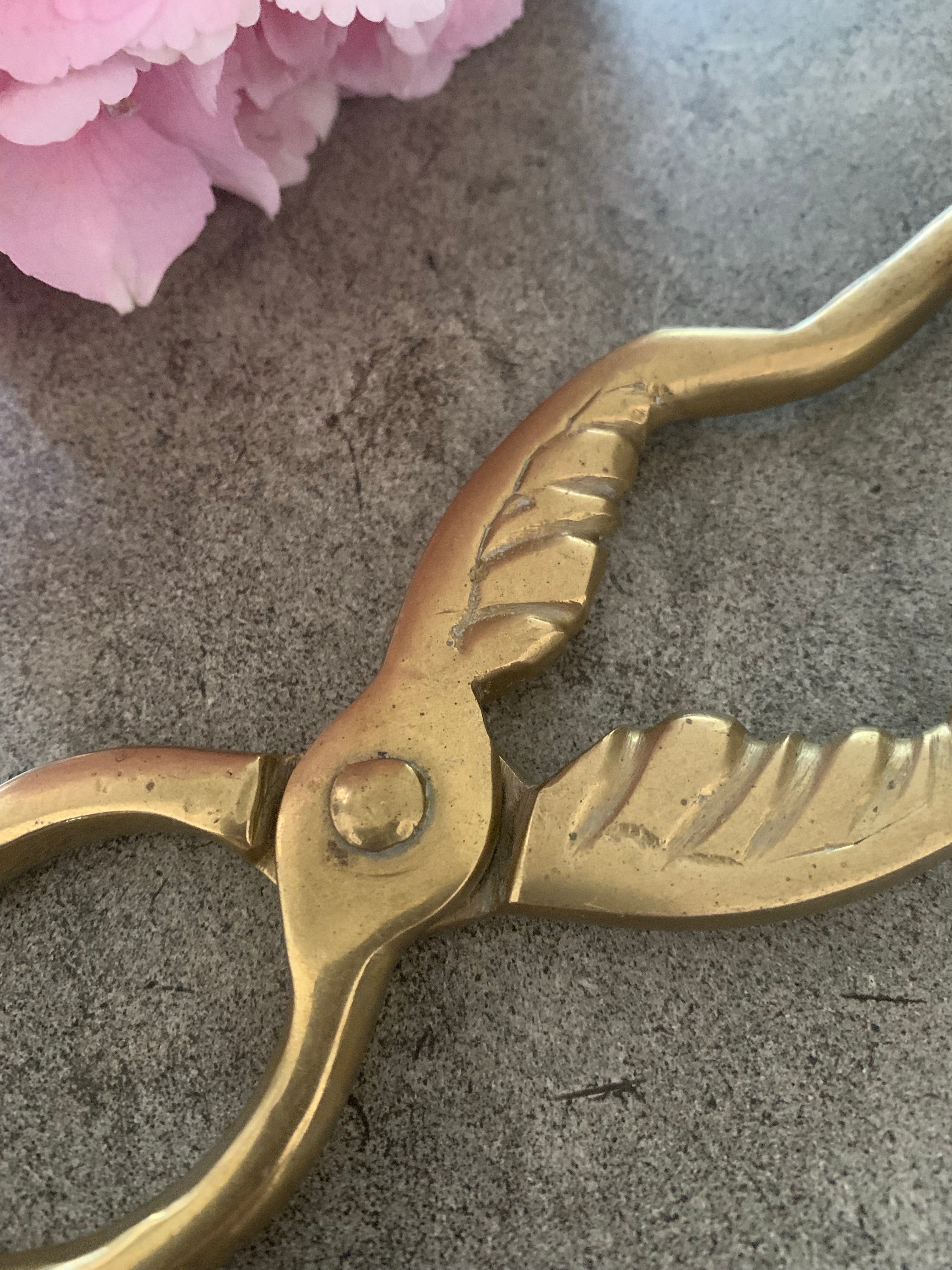 Victorian Brass Coal Tongs