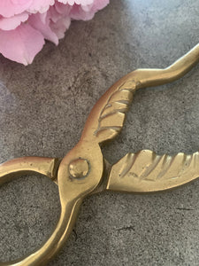 Victorian Brass Coal Tongs