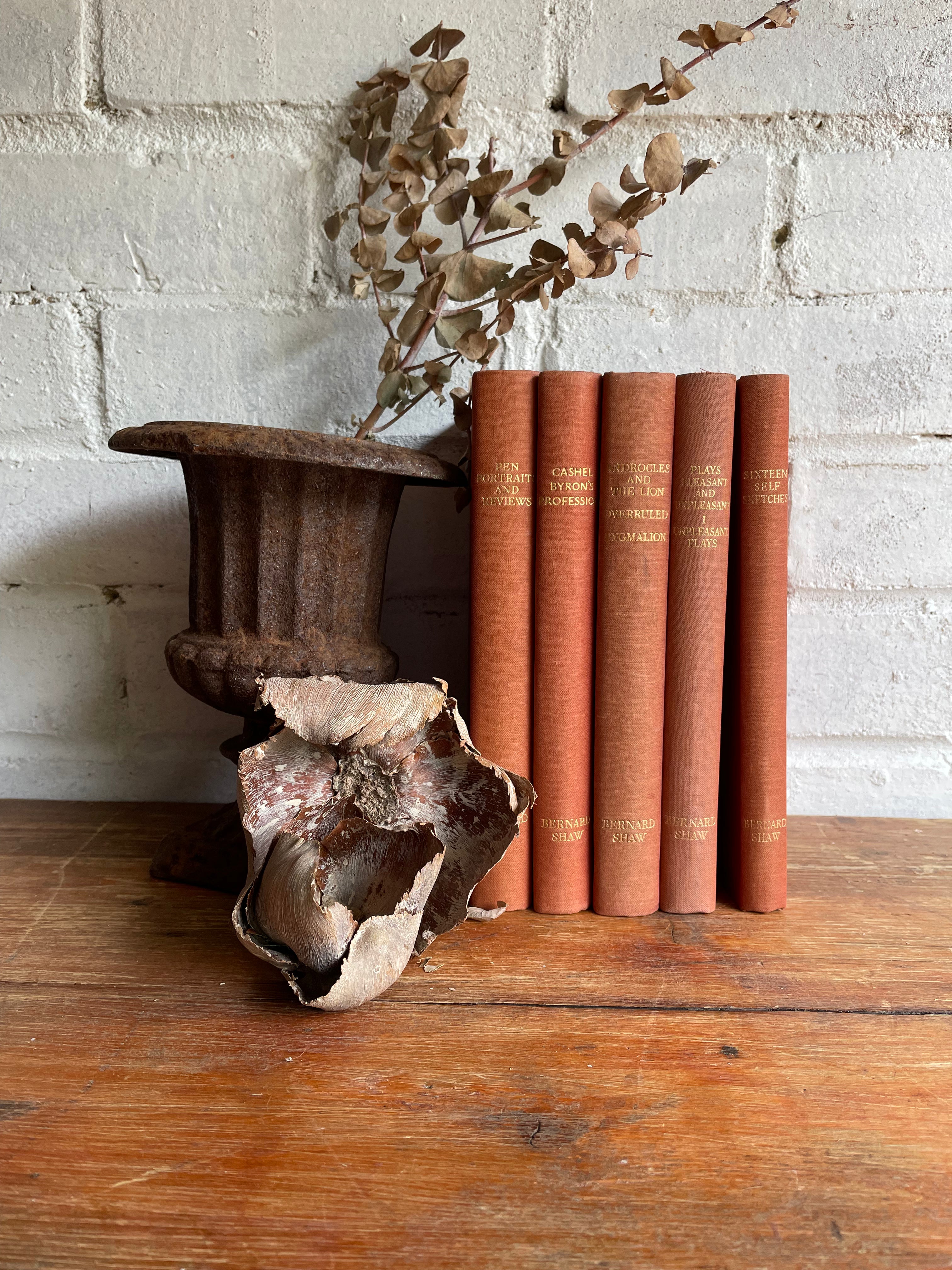 Bernard Shaw Book Bundle