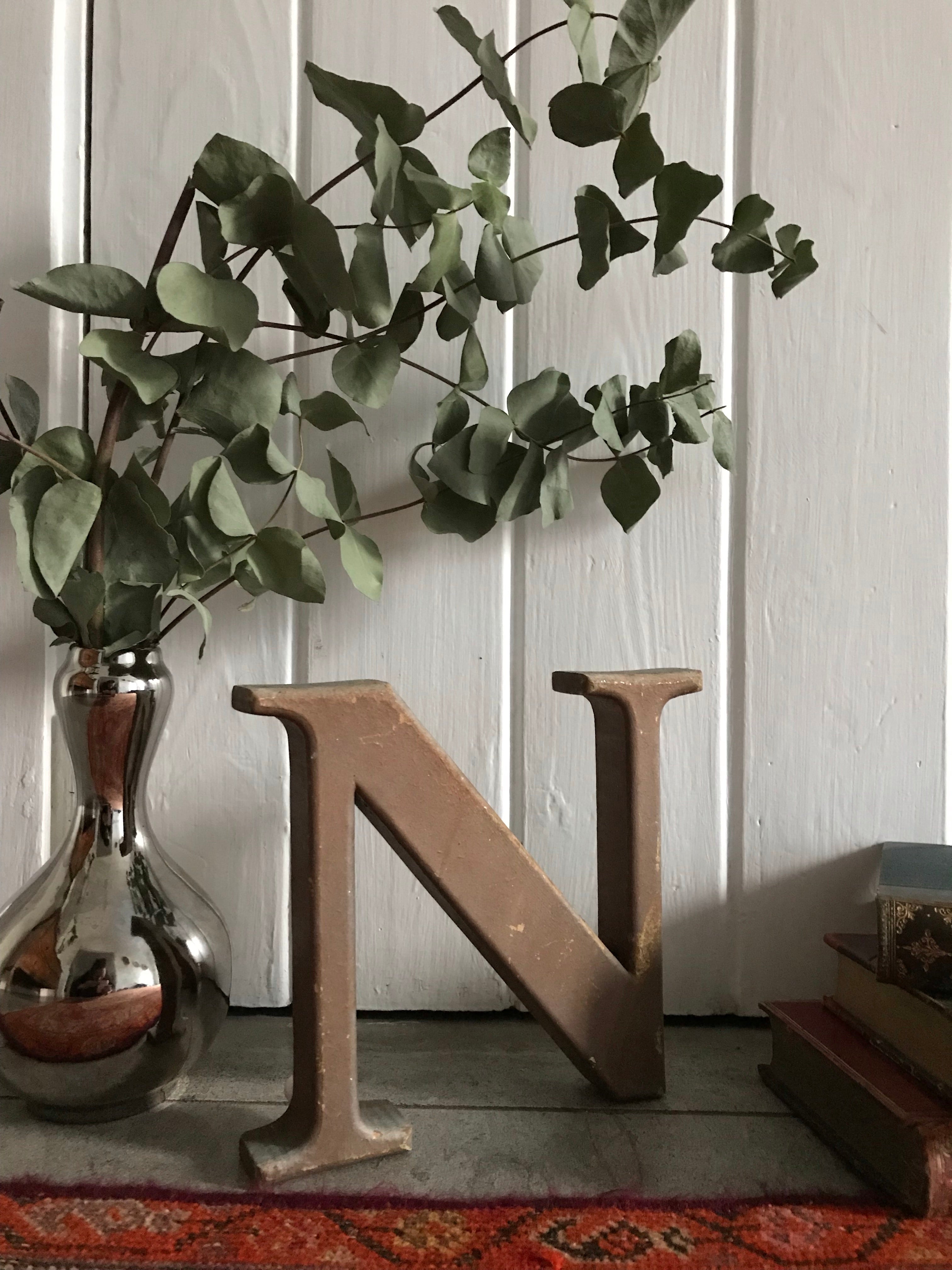 Rustic Stand-Alone Letter "N"