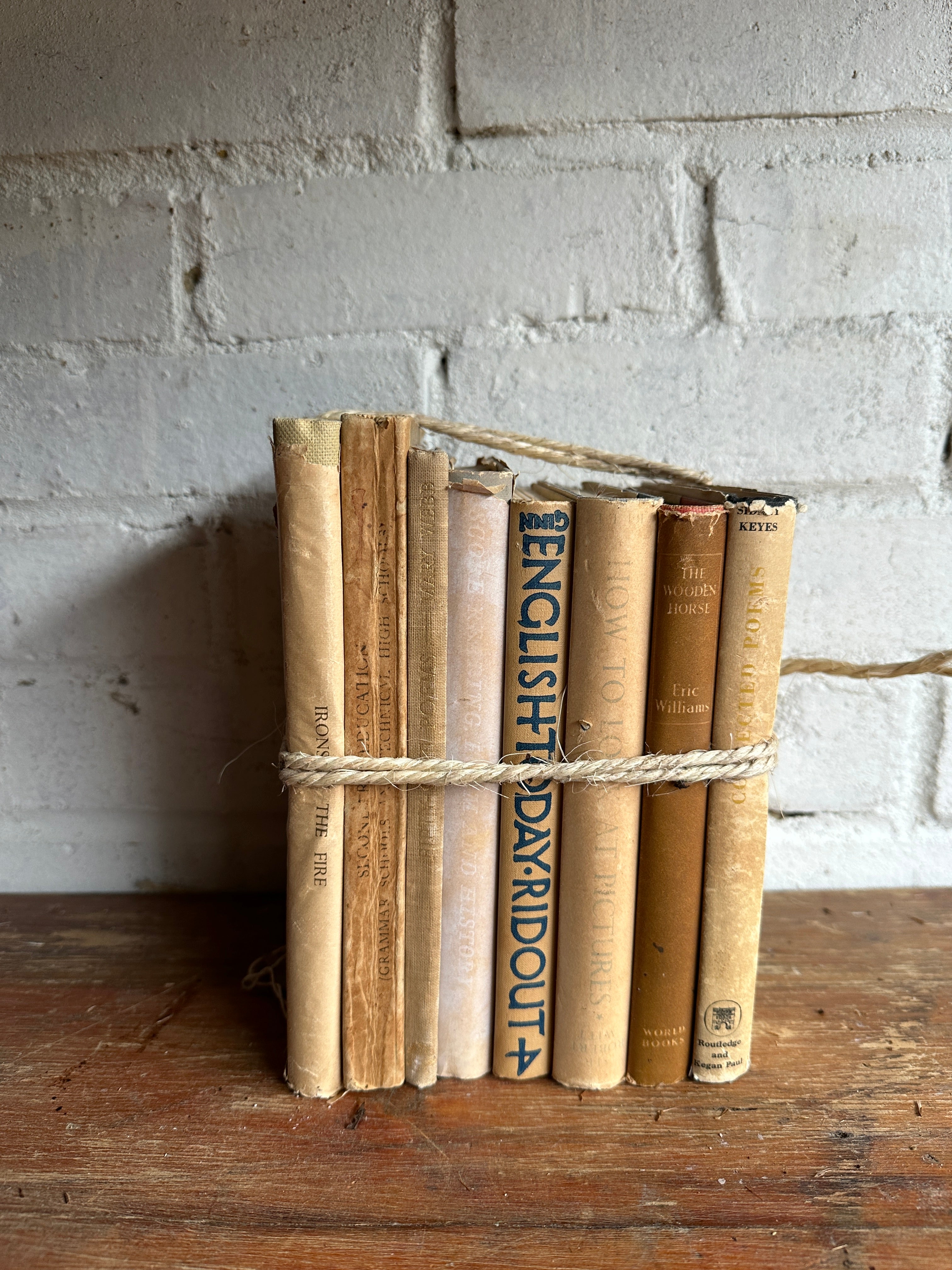 Beige Book Bundle