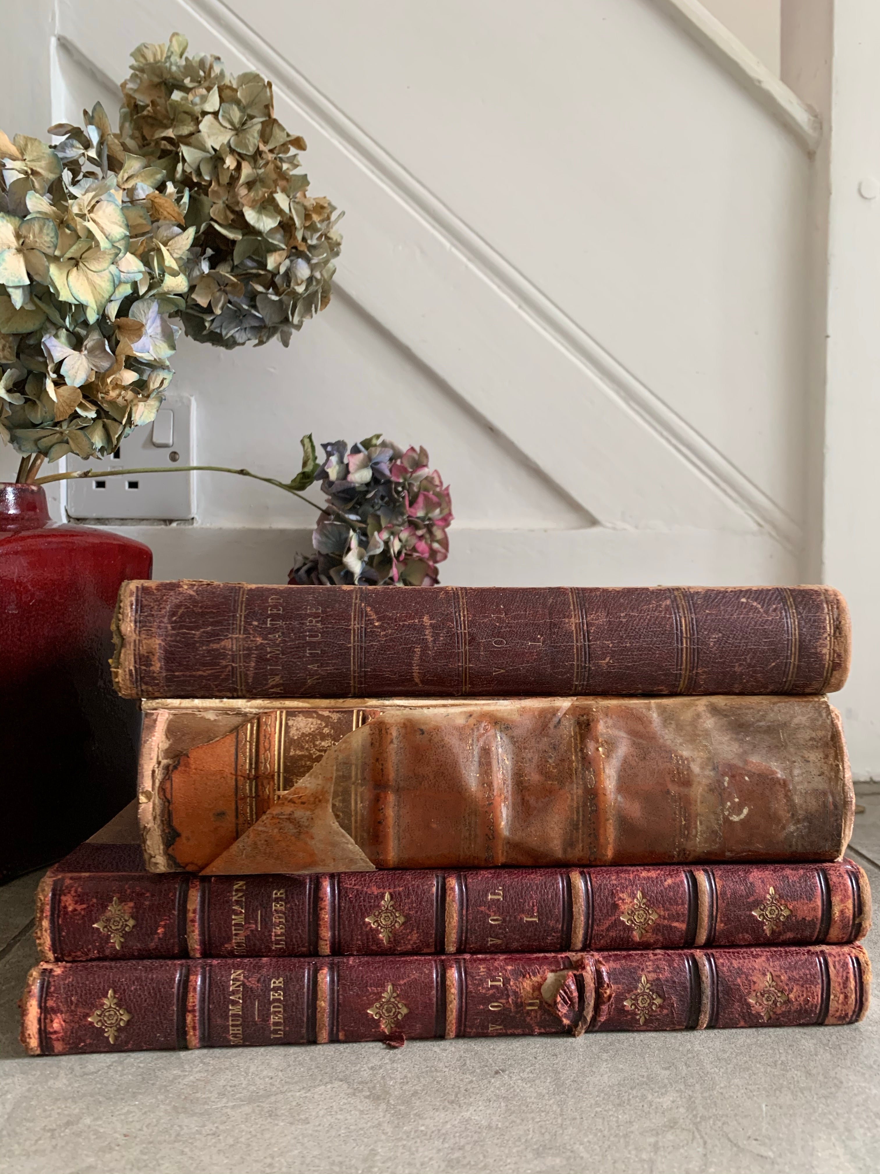Burgundy Book Bundle with Leather Spines