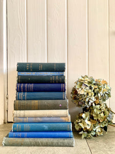 Set of 11 vintage books with blue covers