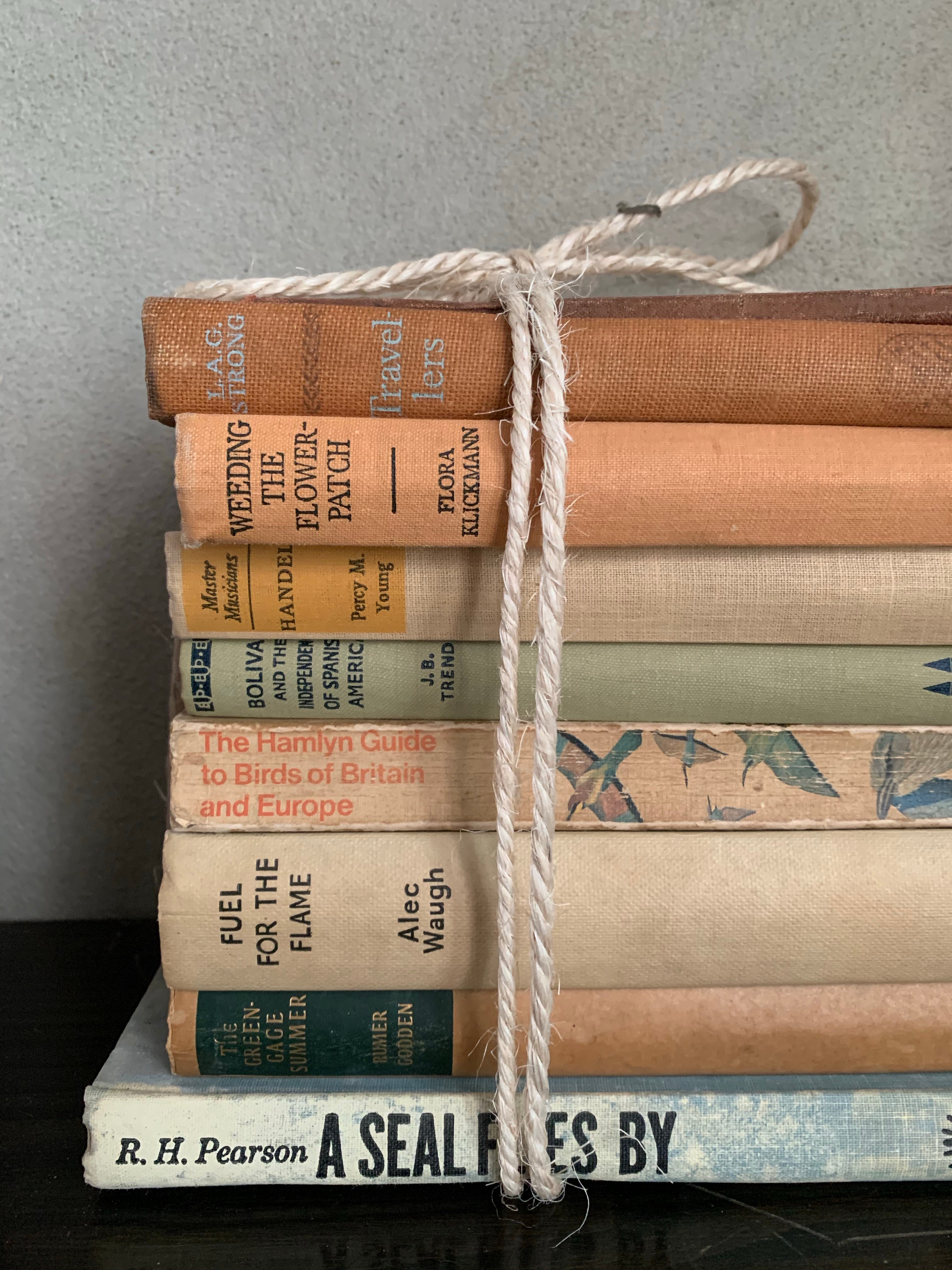 Neutral Shades Book Bundle