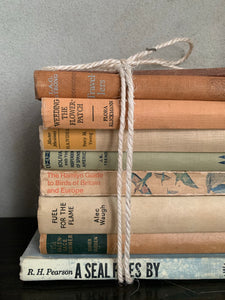 Neutral Shades Book Bundle