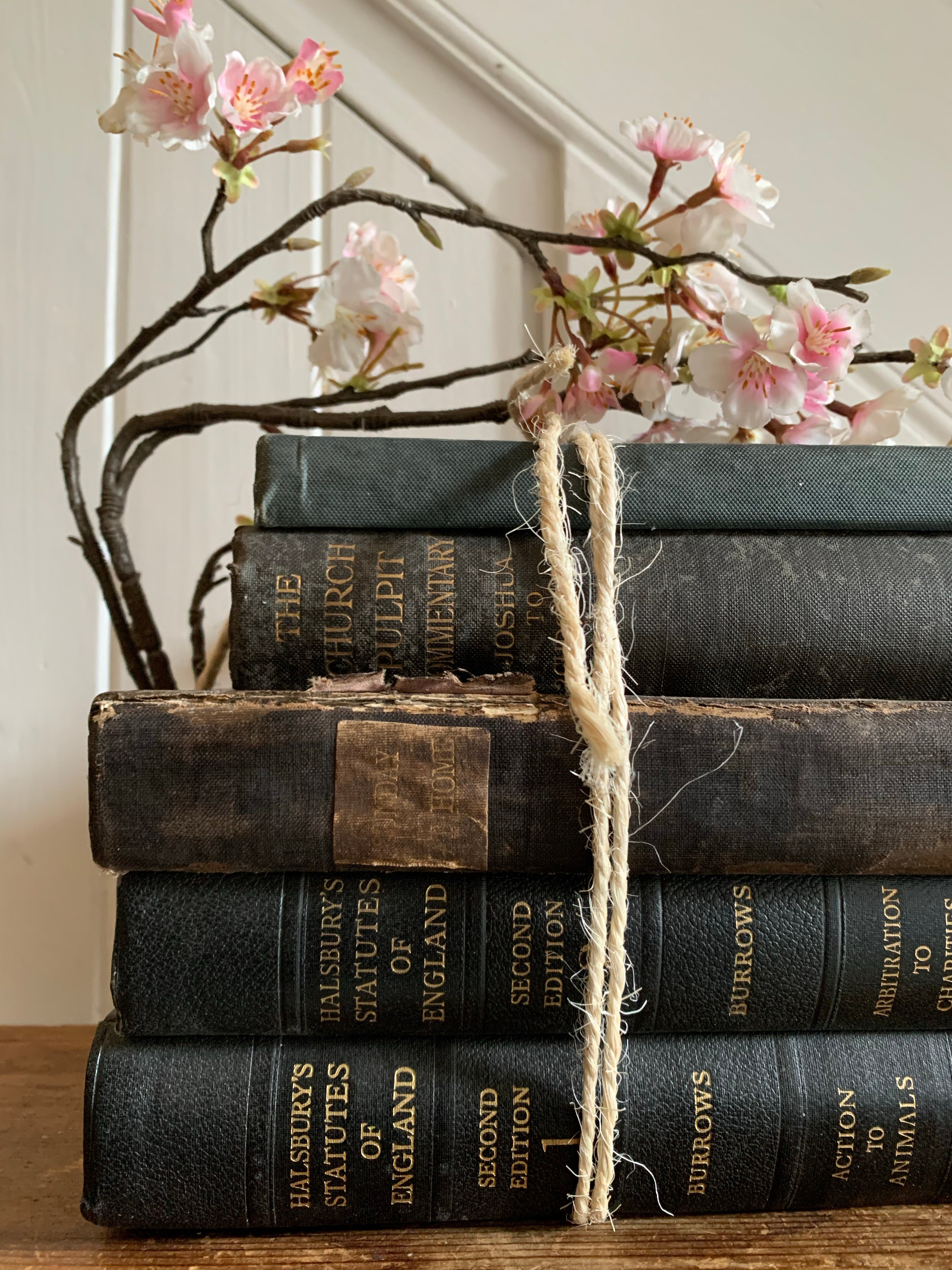 Black Book Bundle with gold detail