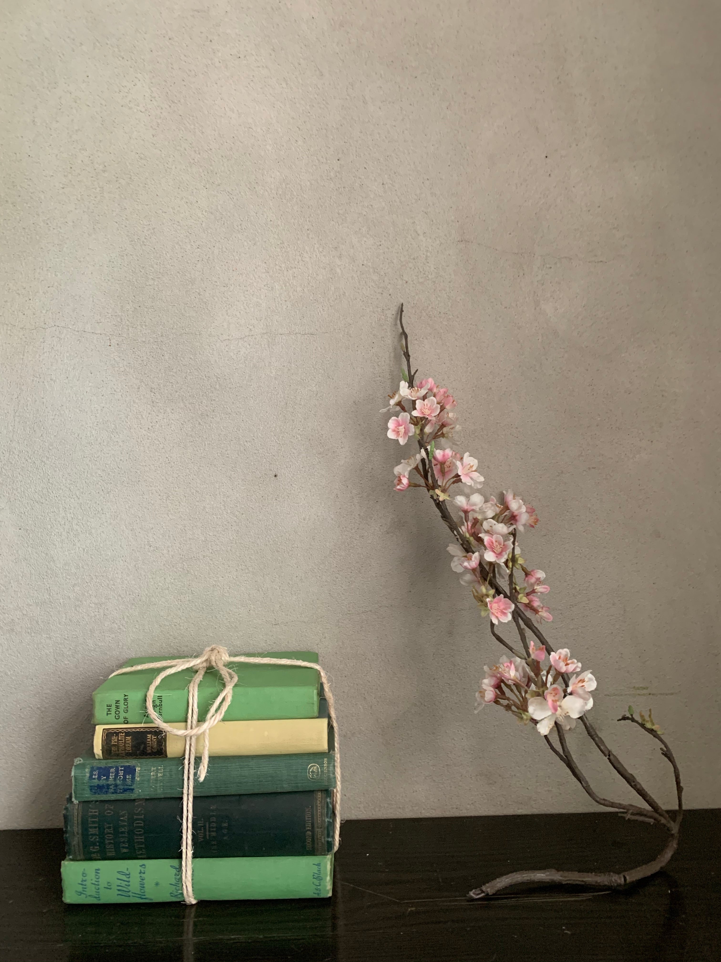 Green Hues Book Bundle