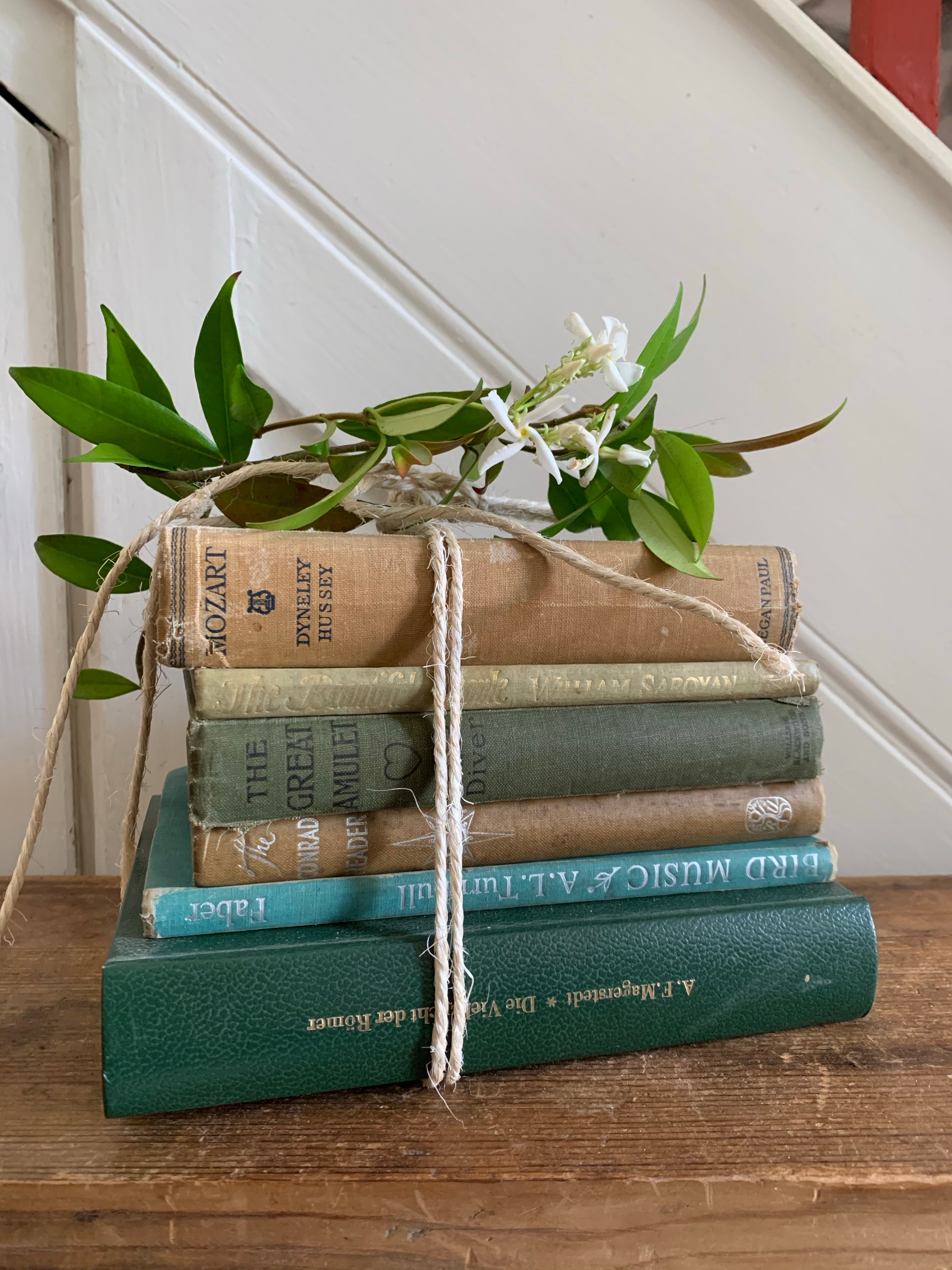 Green Book Bundle