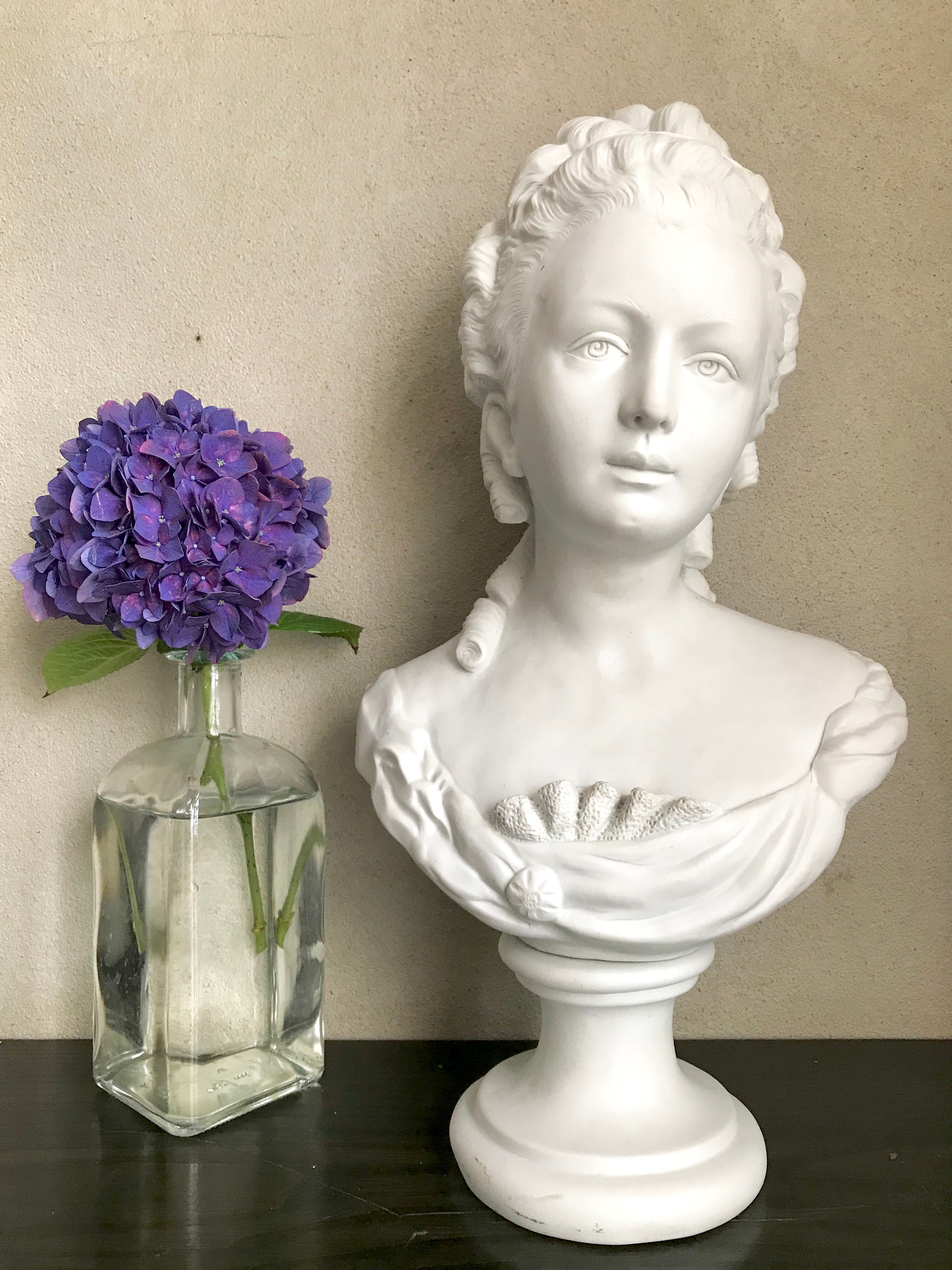 French Bisque Porcelain Bust