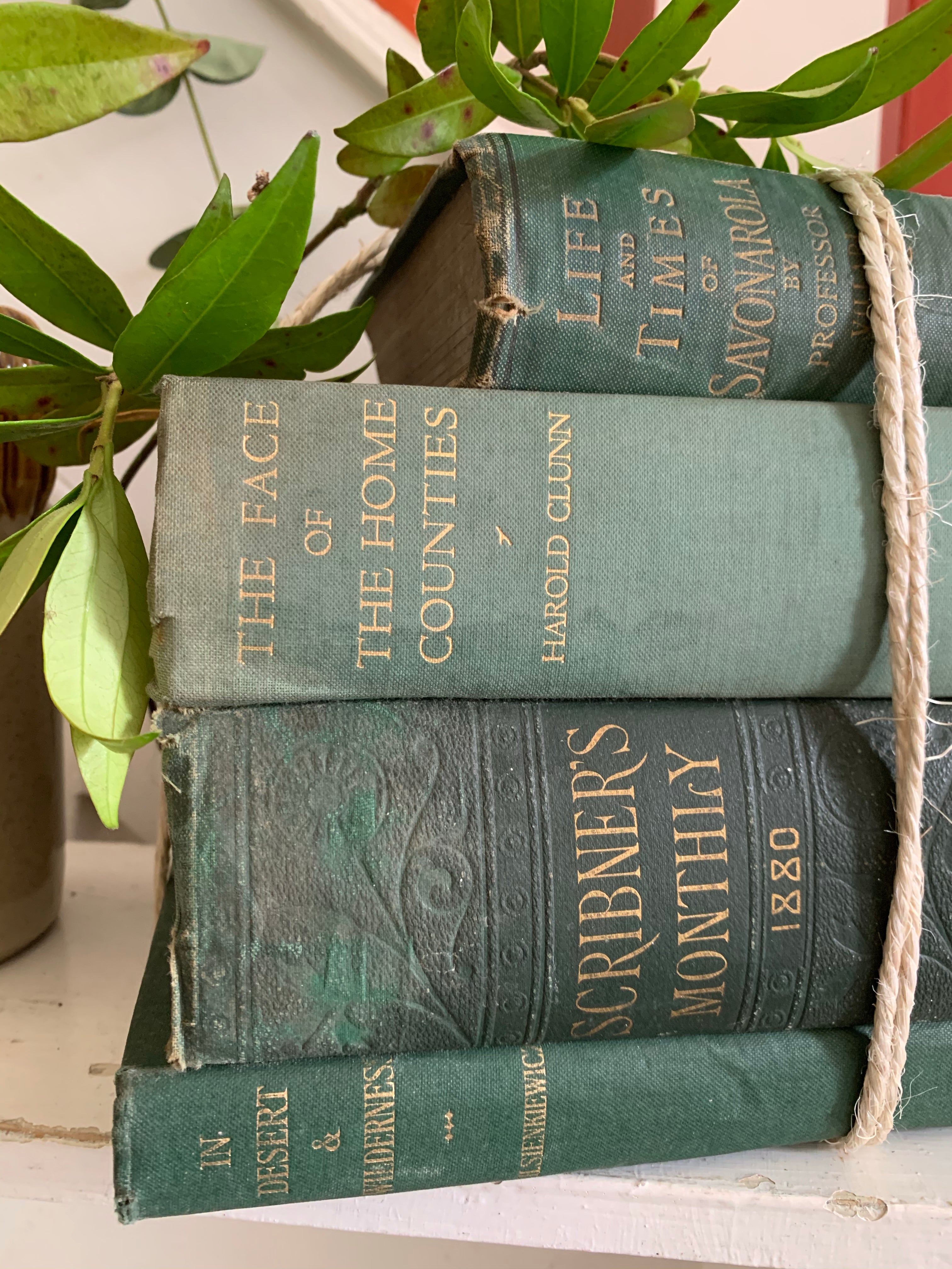 Green Book Bundle 1